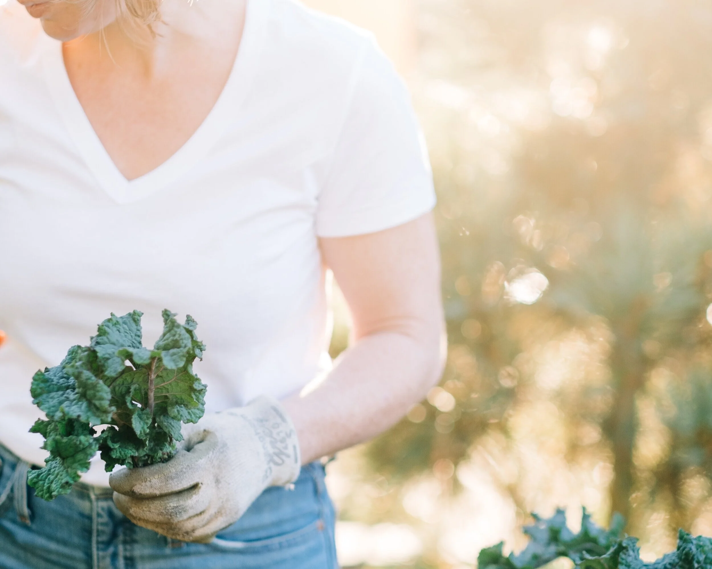 Rewilding and Culture