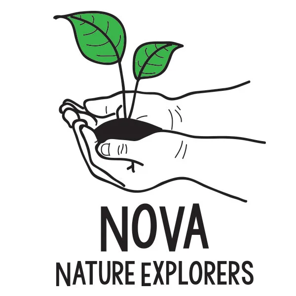 nova-logo.jpg