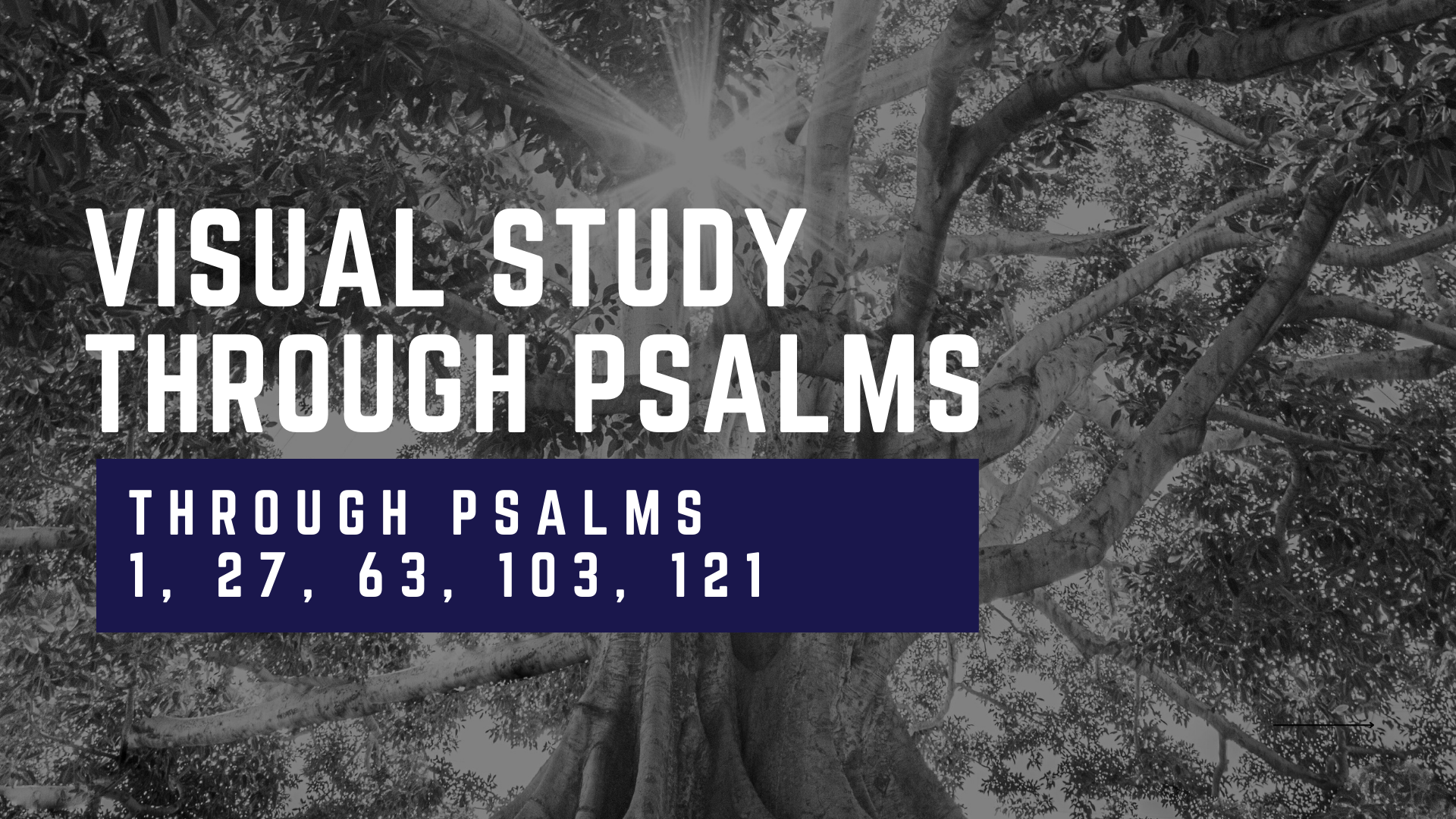 VISUAL STUDY Through Psalms