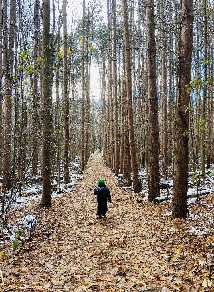 KidFriendly Hikes in Kalamazoo — discovering anew