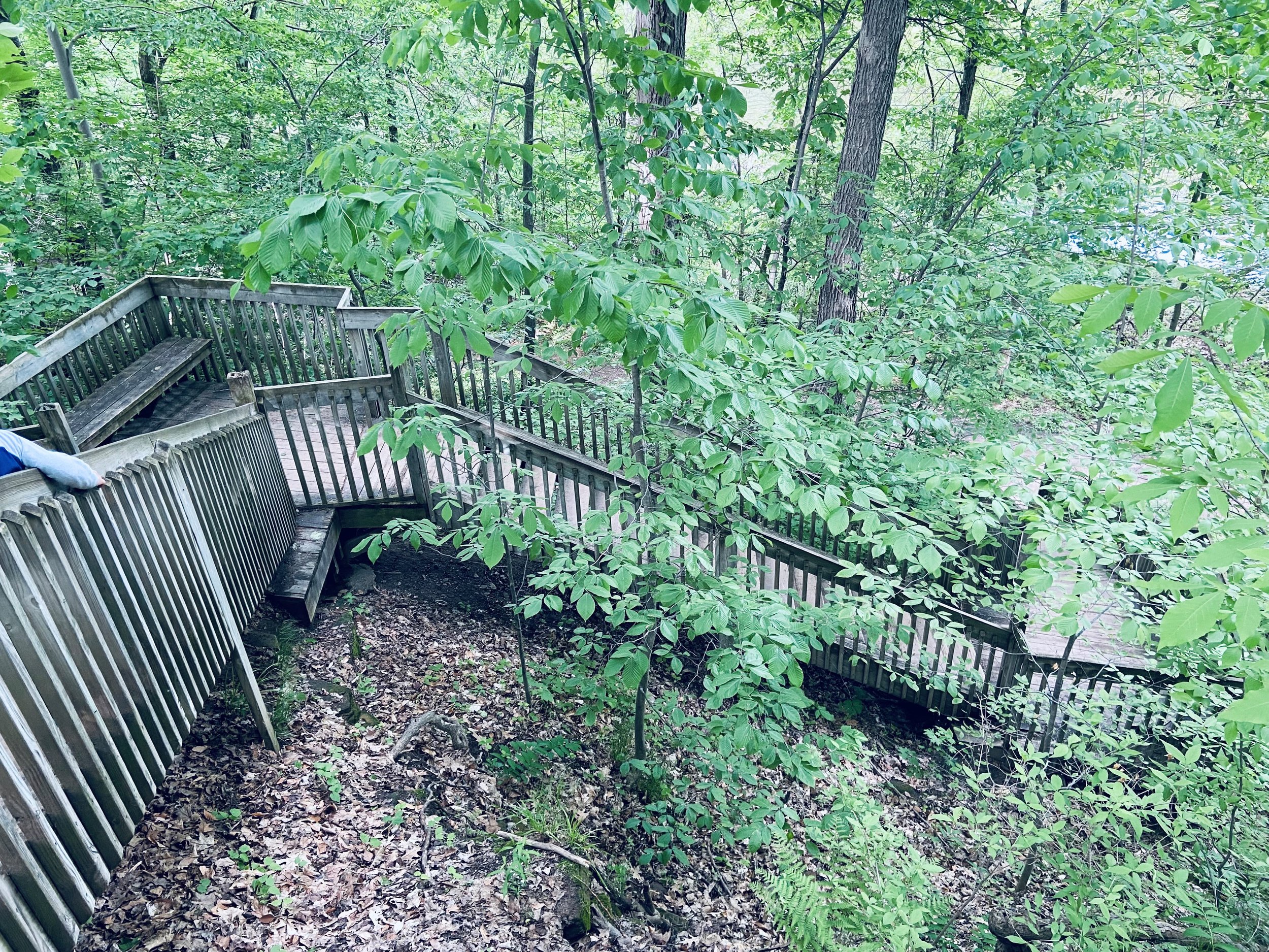stairs at the ledges.jpg