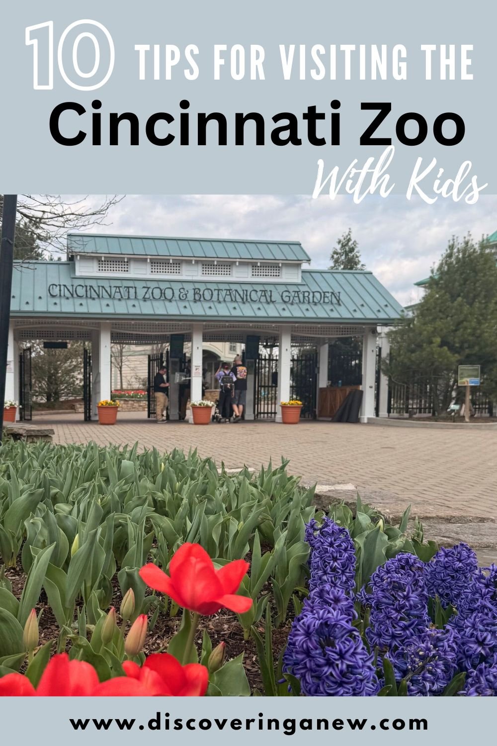 Tips for Visiting the Cincinnati Zoo and Botanical Gardens with Kids: A Spring Adventure