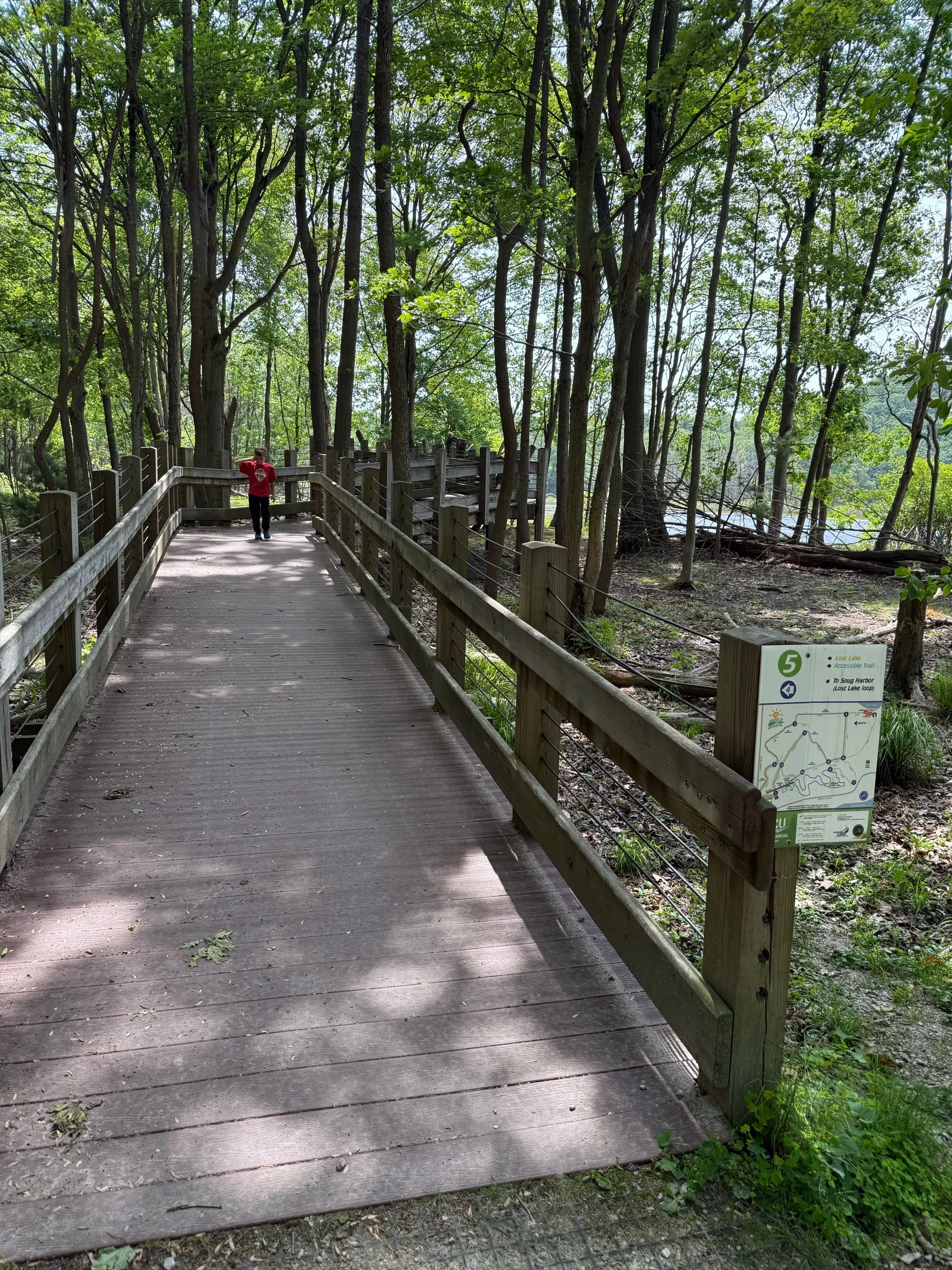 Boardwalk at Lost Lake Trail