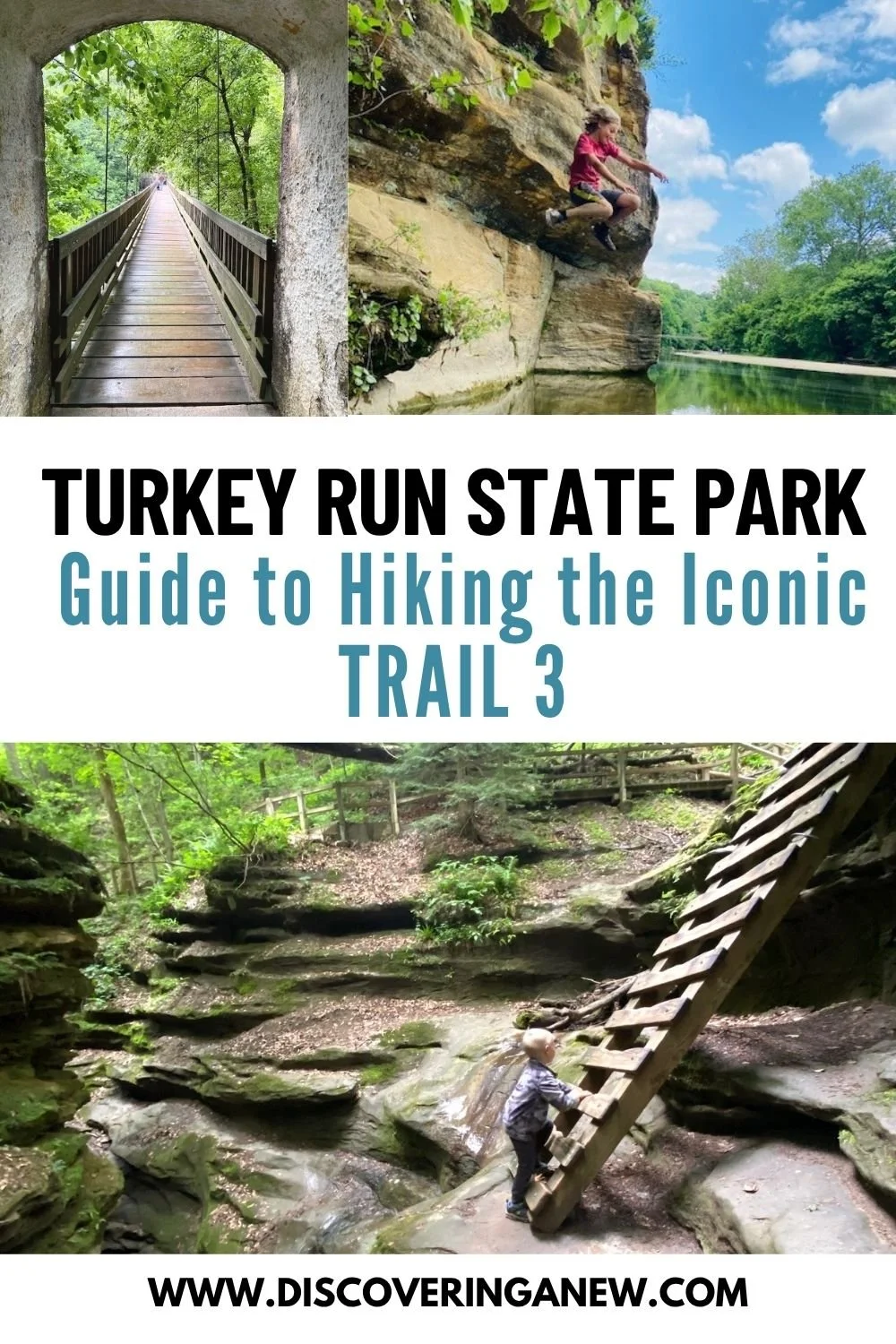 Hiking Trail 3 at Turkey Run State Park: Ladders, Canyons & Must-See Features