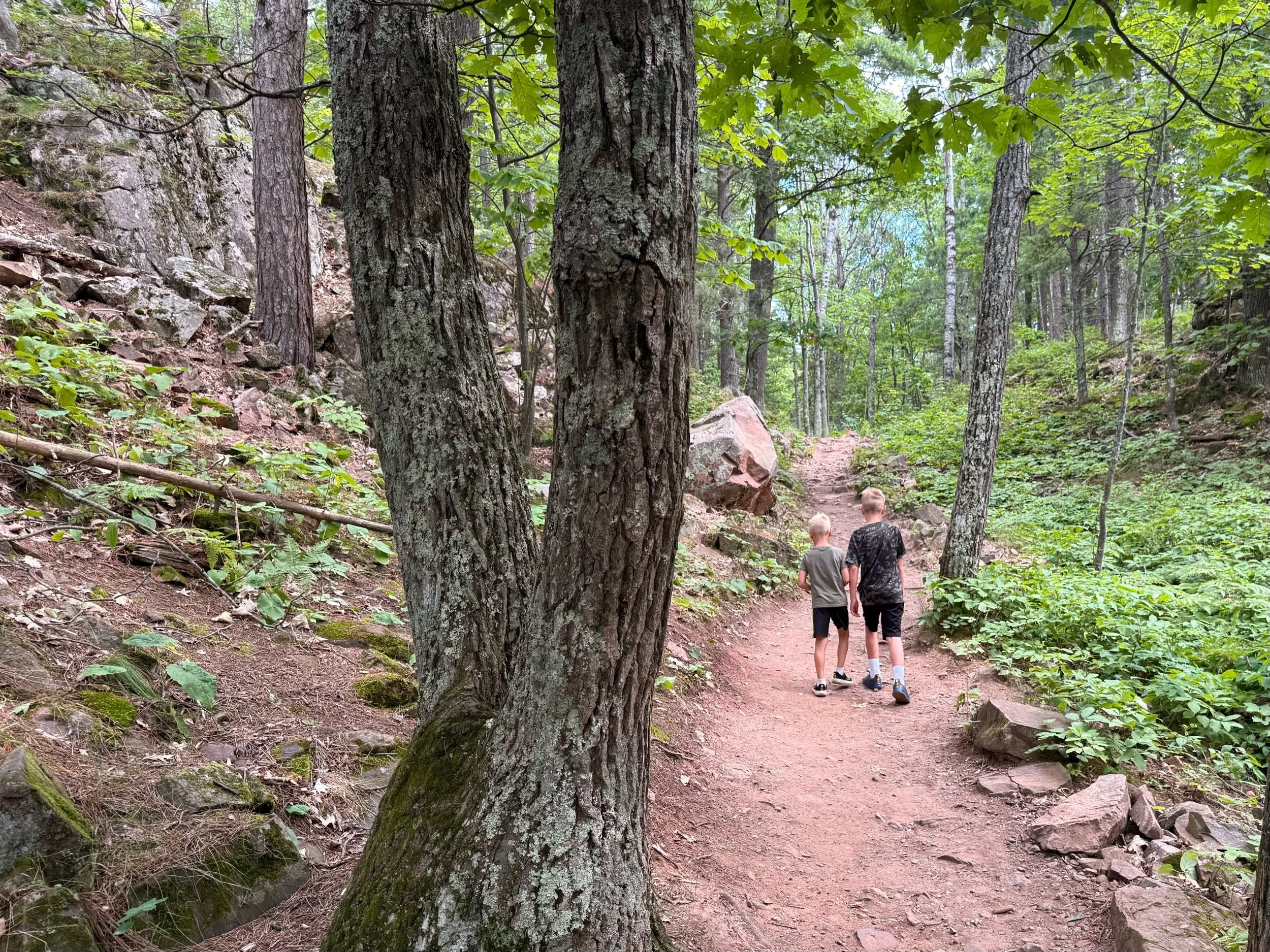 Shaded Trail