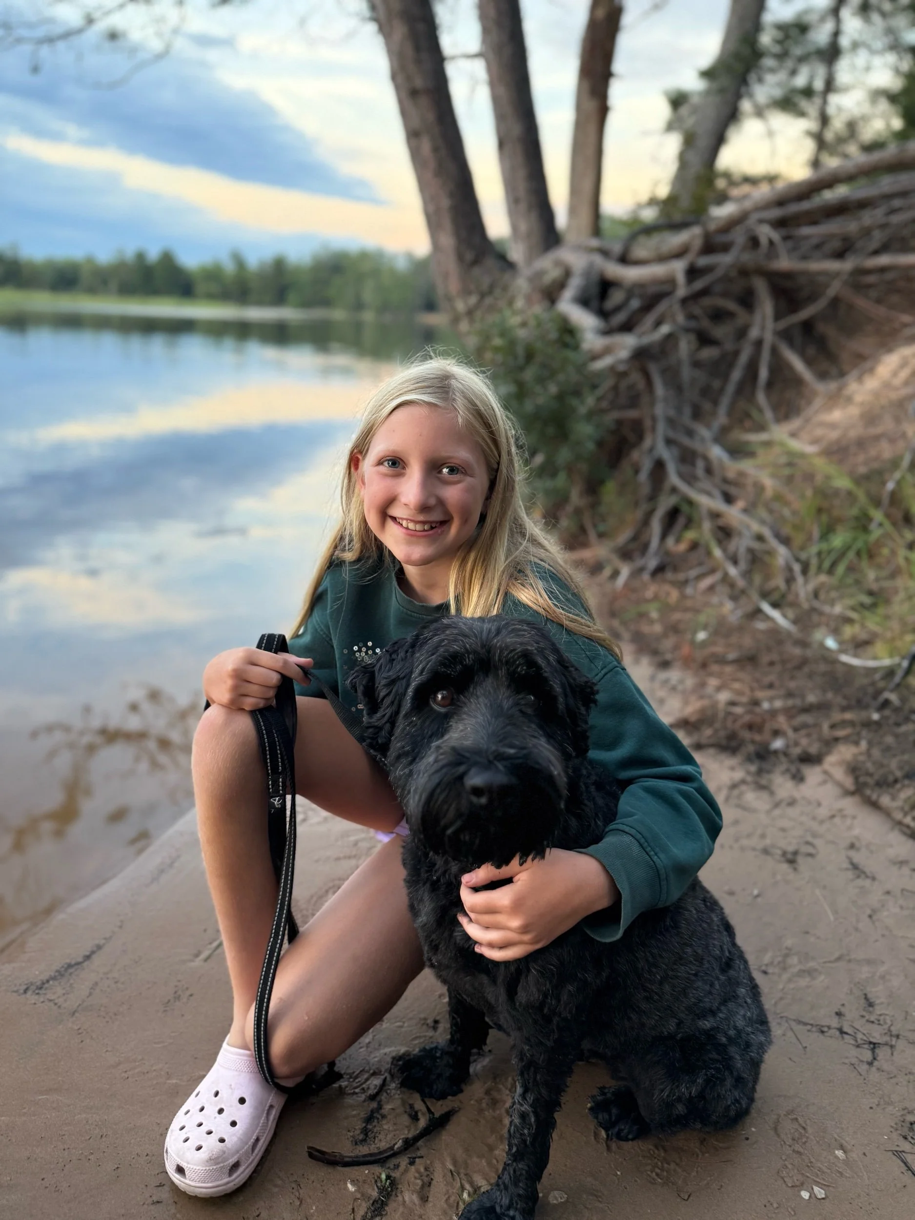 Dogs Allowed