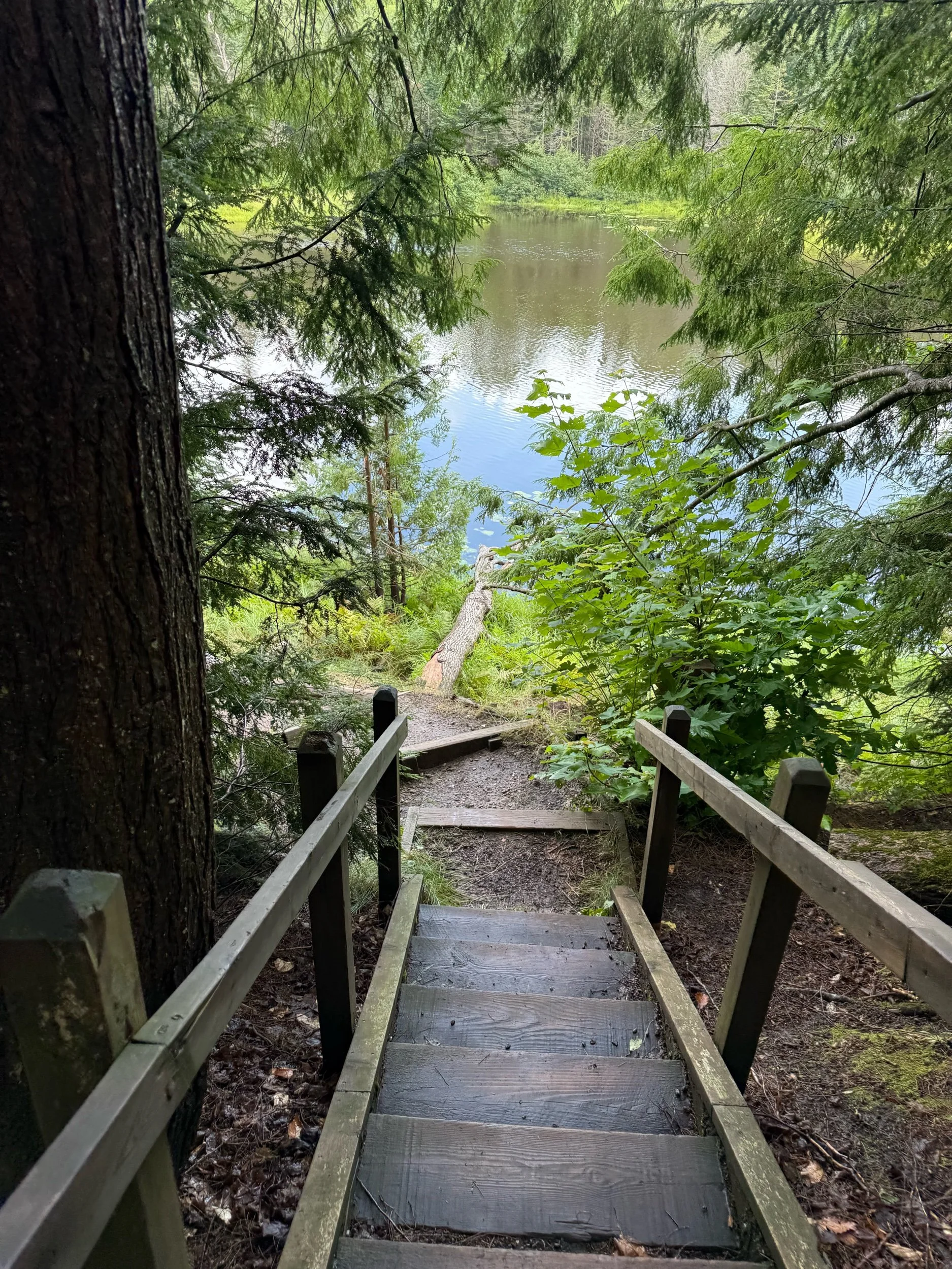 4 Mile Hike between Upper &amp; Lower Falls