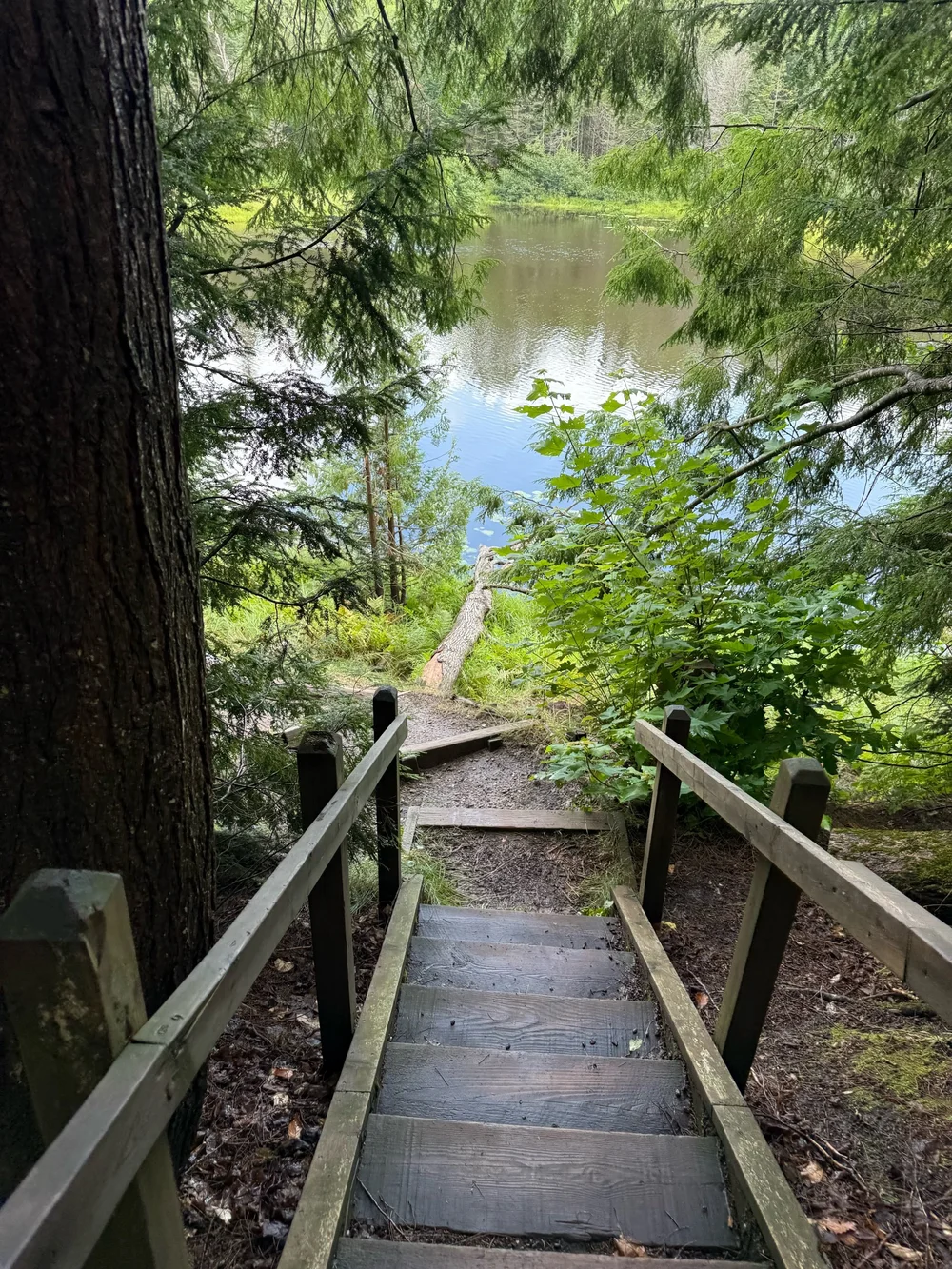 4 Mile Hike between Upper &amp; Lower Falls 