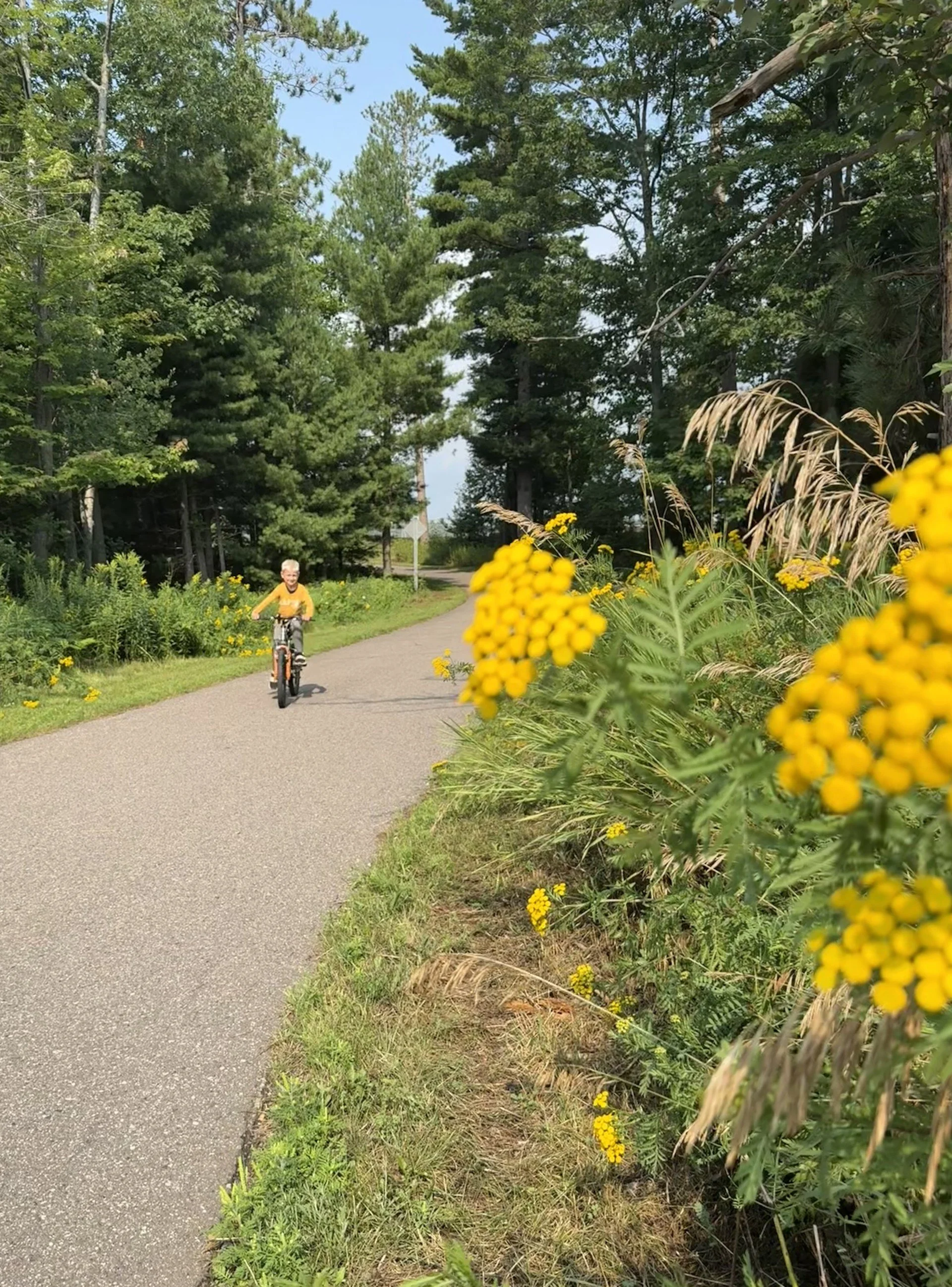 Marquette Extensive Bike Trail System