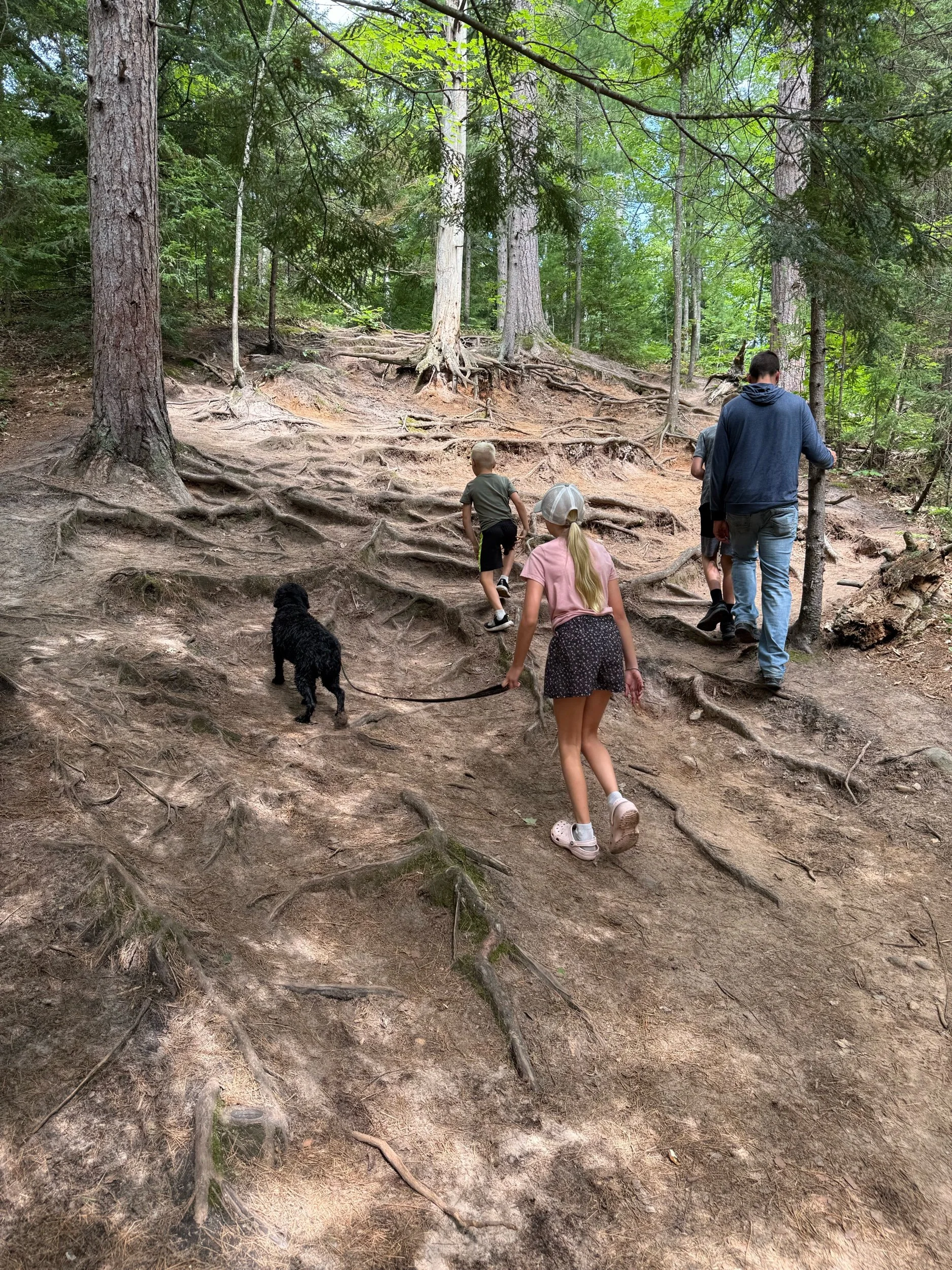 Rugged Terrain Dead River Falls