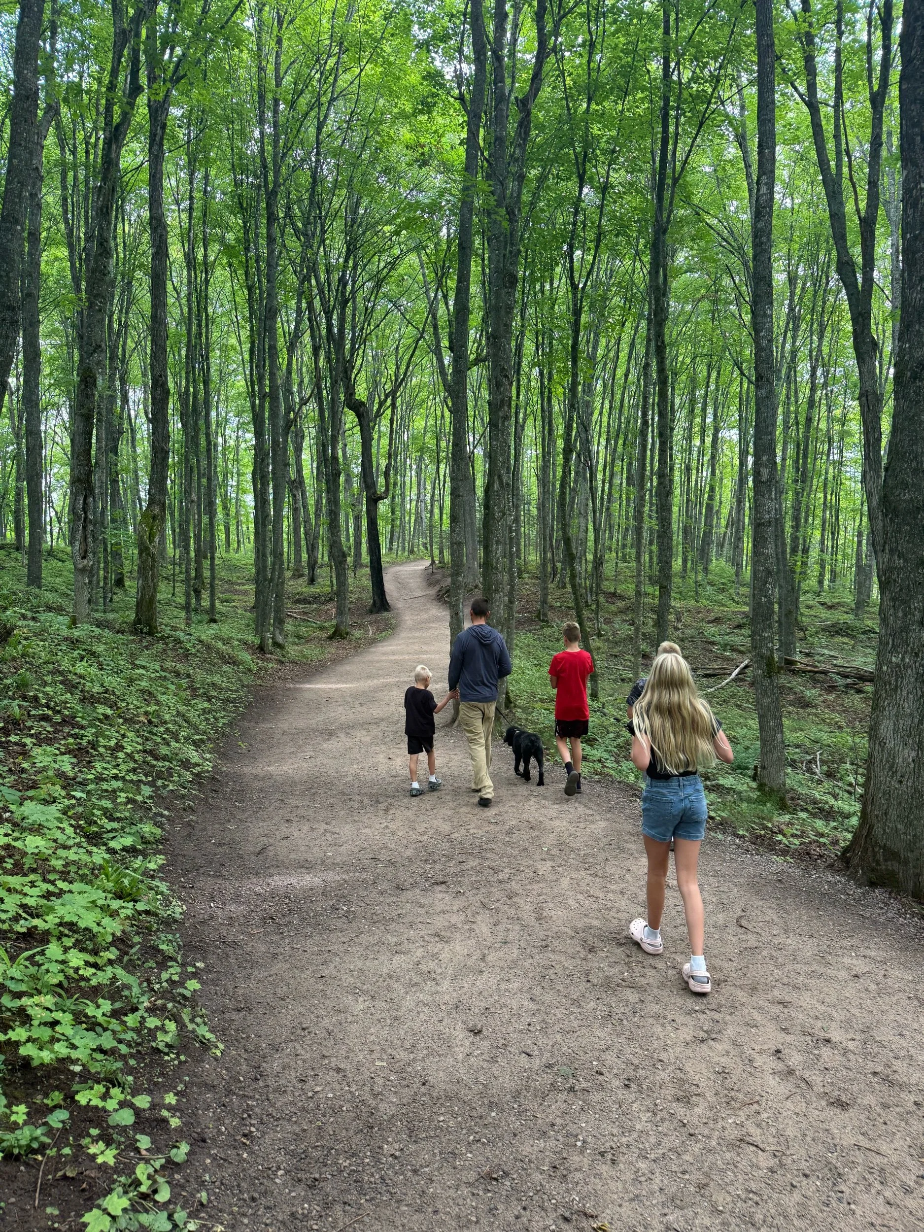  Wide Shady 0.6 One-Way Path to Miners Falls - Upper Peninsula family friendly waterfall hike 