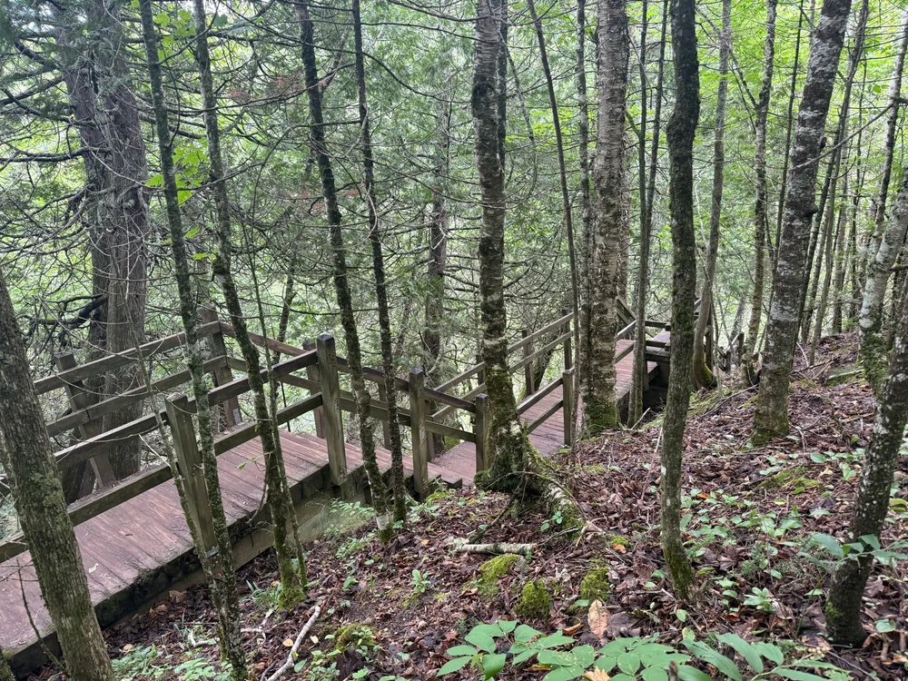 77 Stairs to Viewing Platform