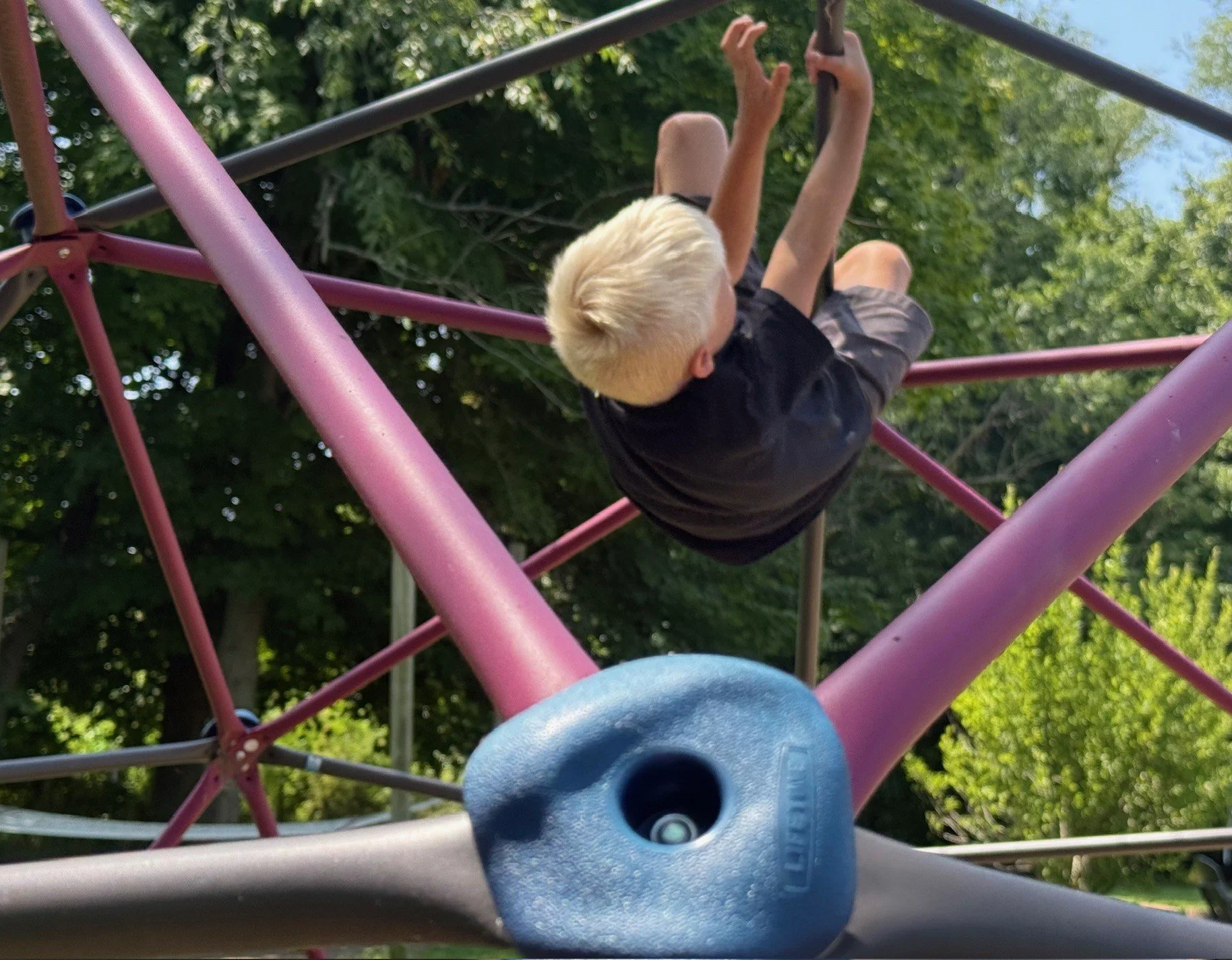 climbing dome lifetime.jpg