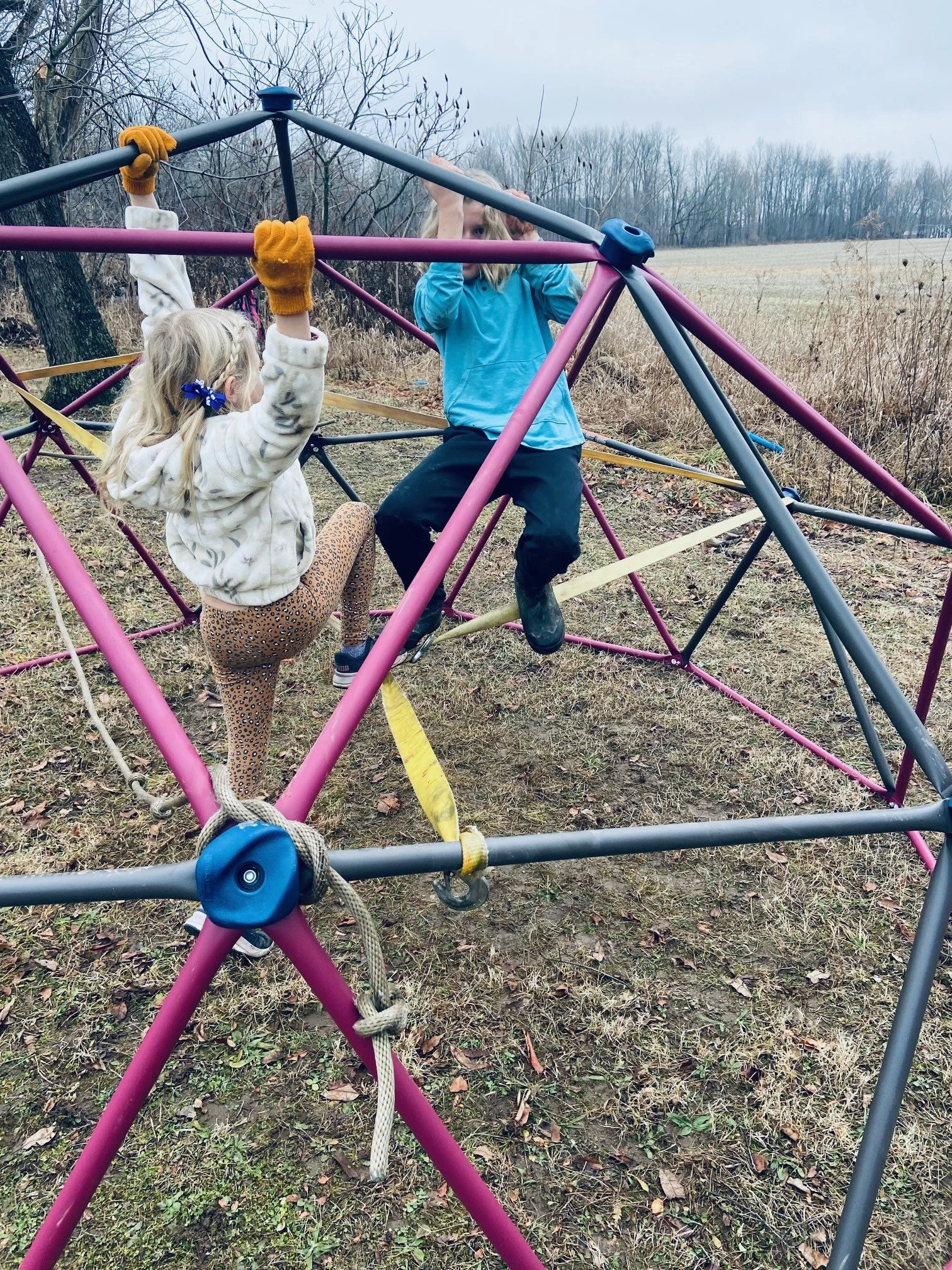 climbing dome games.jpg