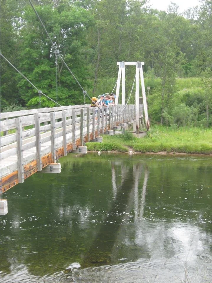 Manistee River Trail