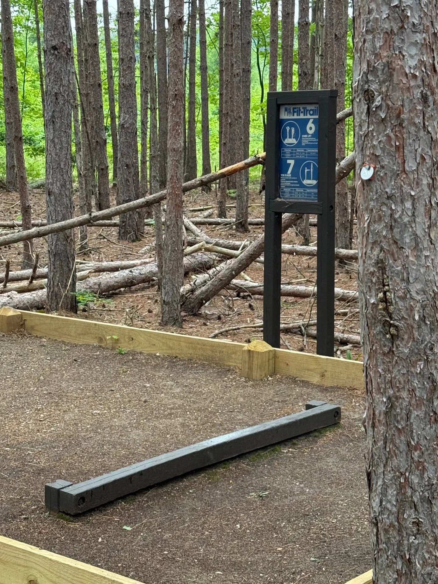 CCC Museum fitness trail