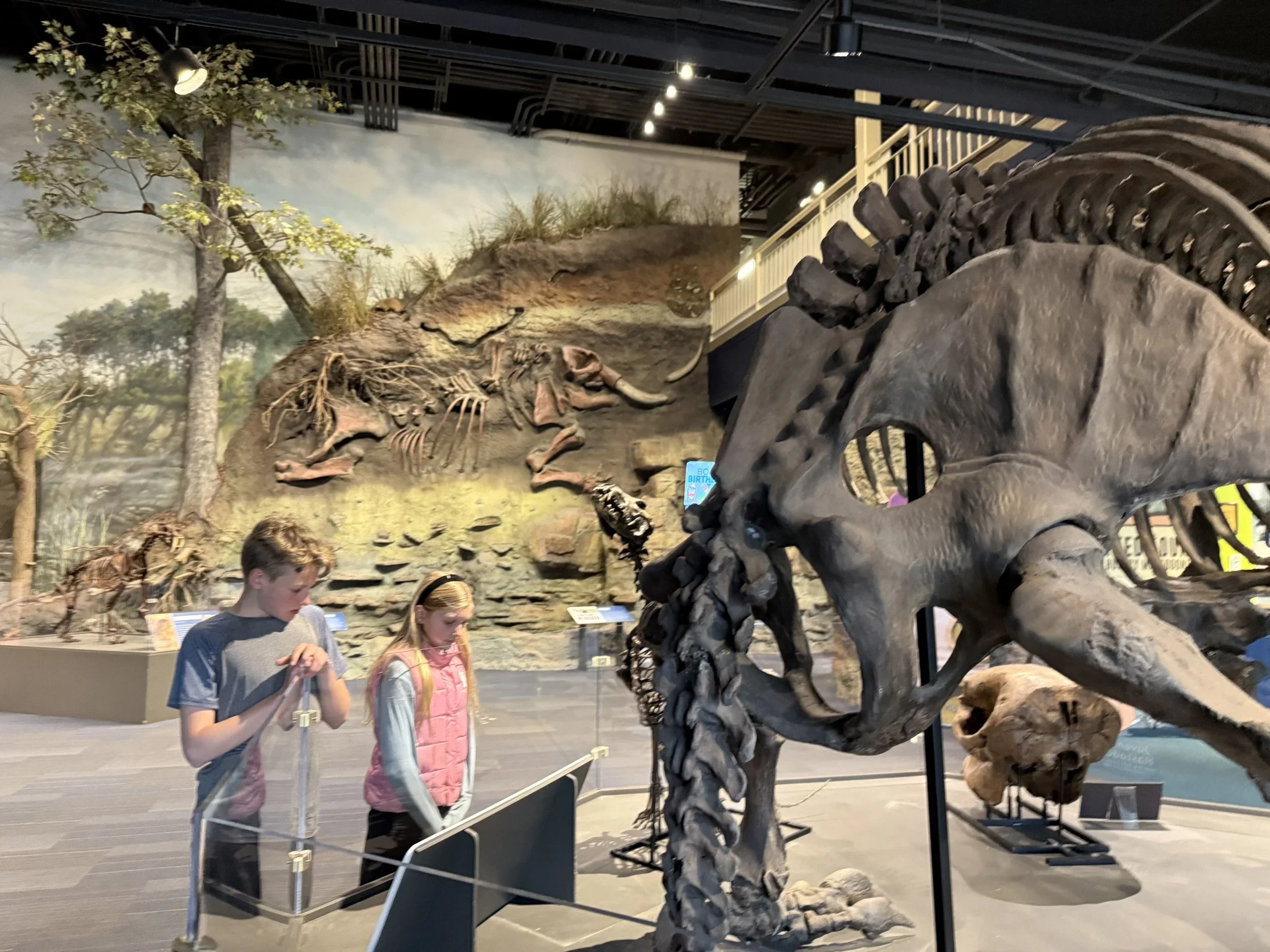 Dinosaur Exhibit