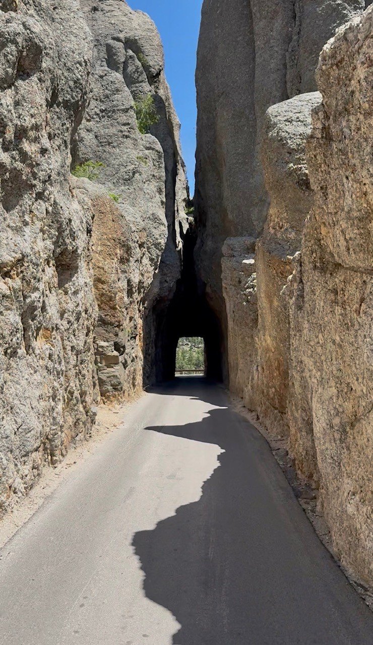Needles Highway