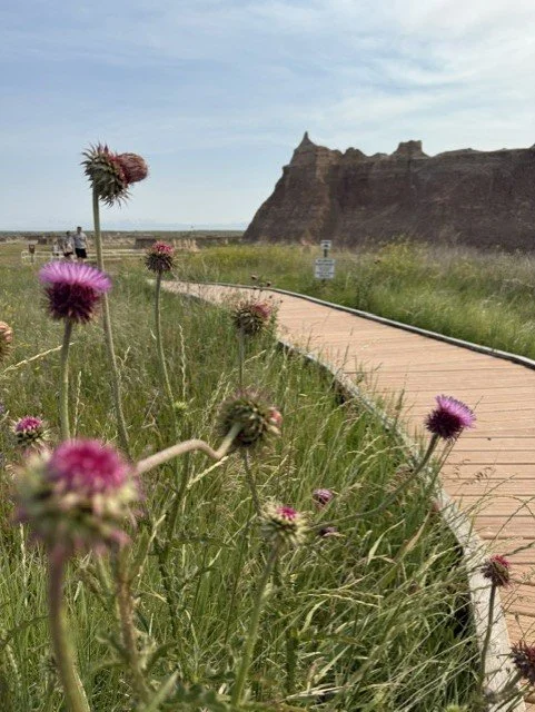 Boardwalk at Badlands