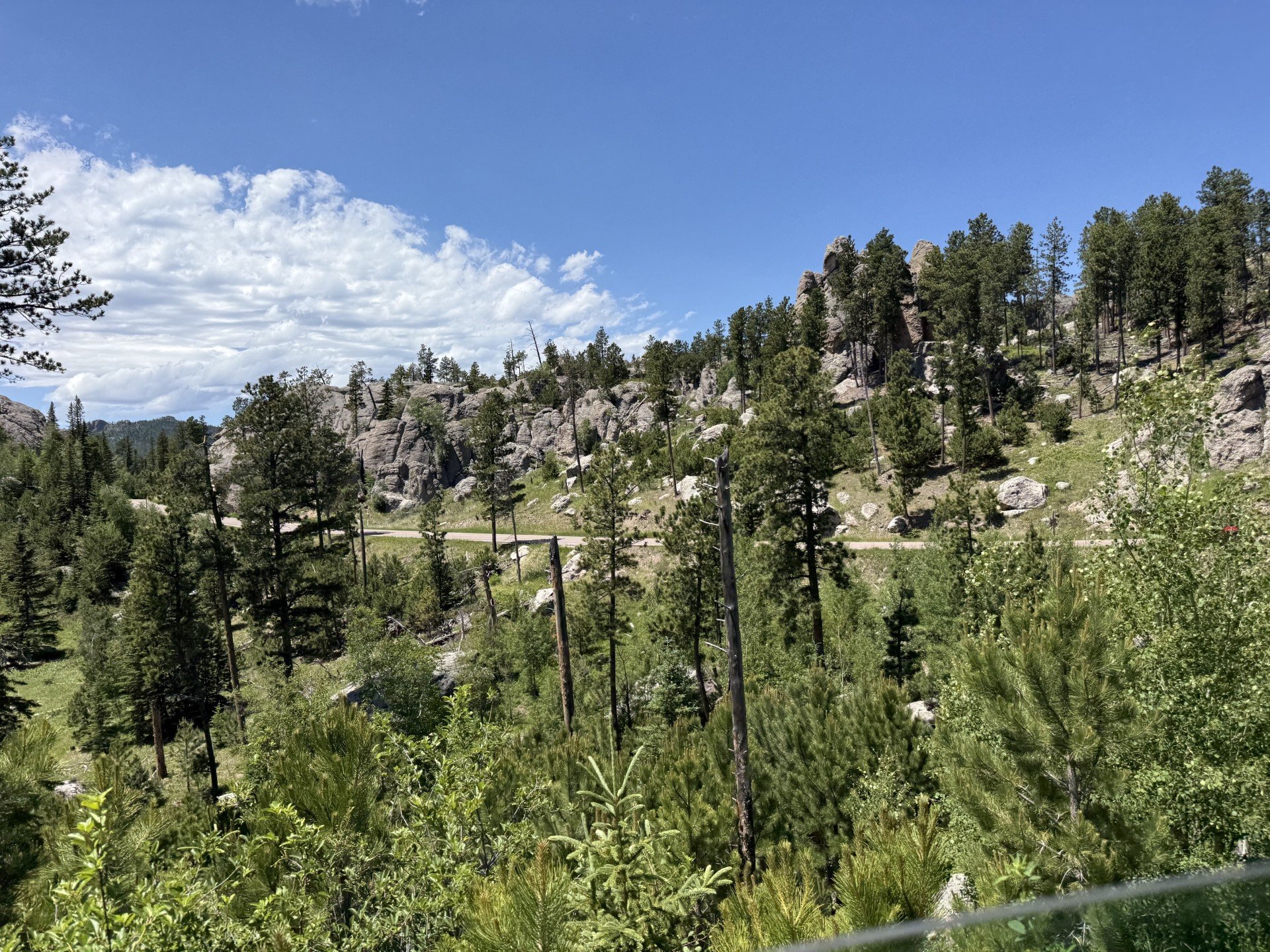 Needles Highway