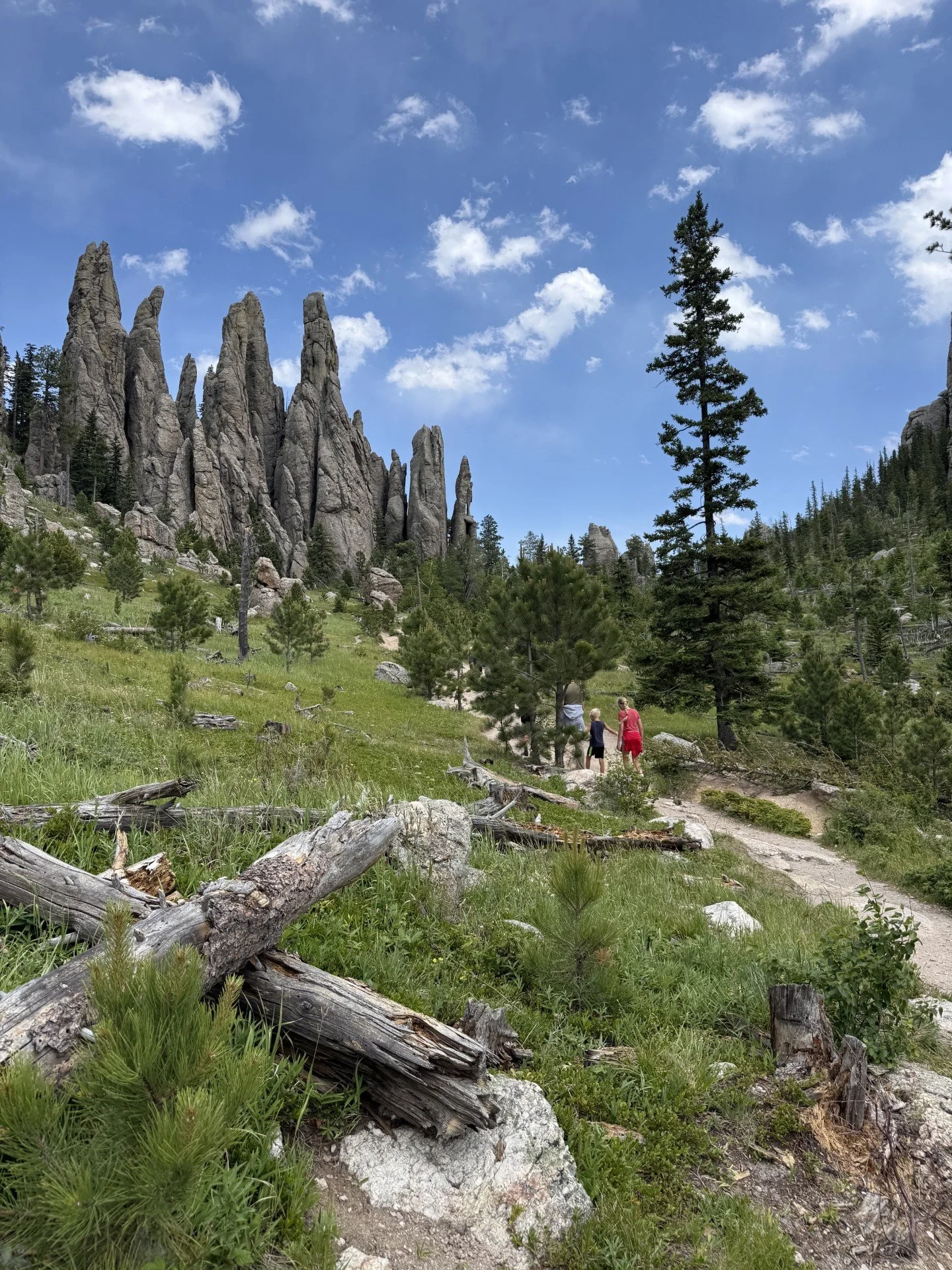 Scenic Views on Cathedral Spires Trail