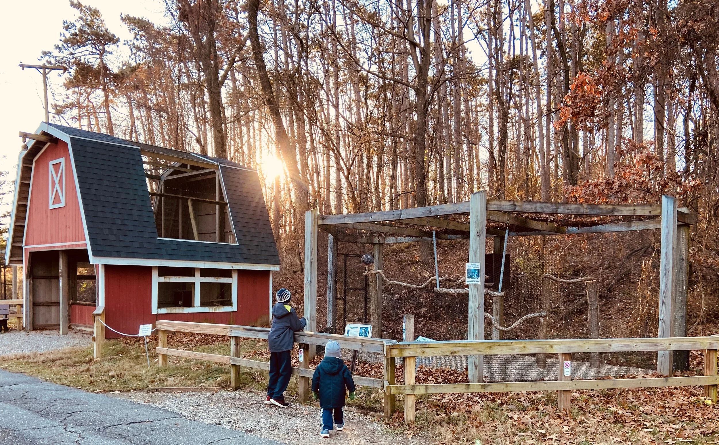 Birds of prey exhibit at Kellogg Bird Sanctuary