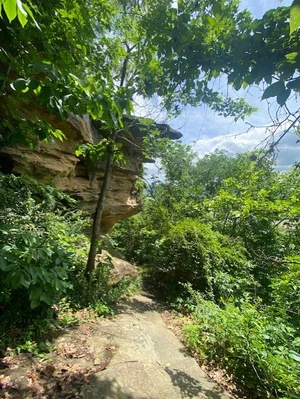 Sweeping Views at Raven Rock State Nature Preserve — discovering anew