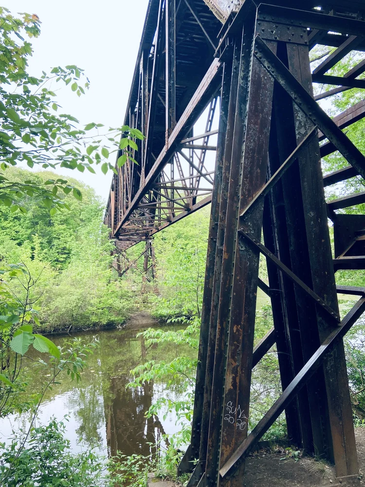 Hike the Ledges Trail at Grand Ledge — discovering anew