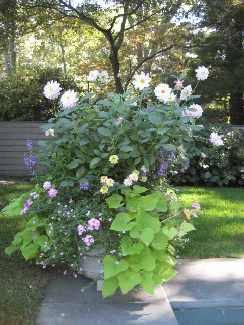 09 IMG_0497.jpeg
