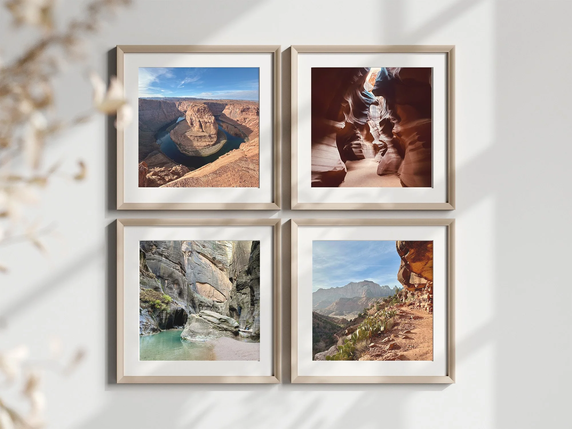 Four Frame Page Zion.jpg (Copy)