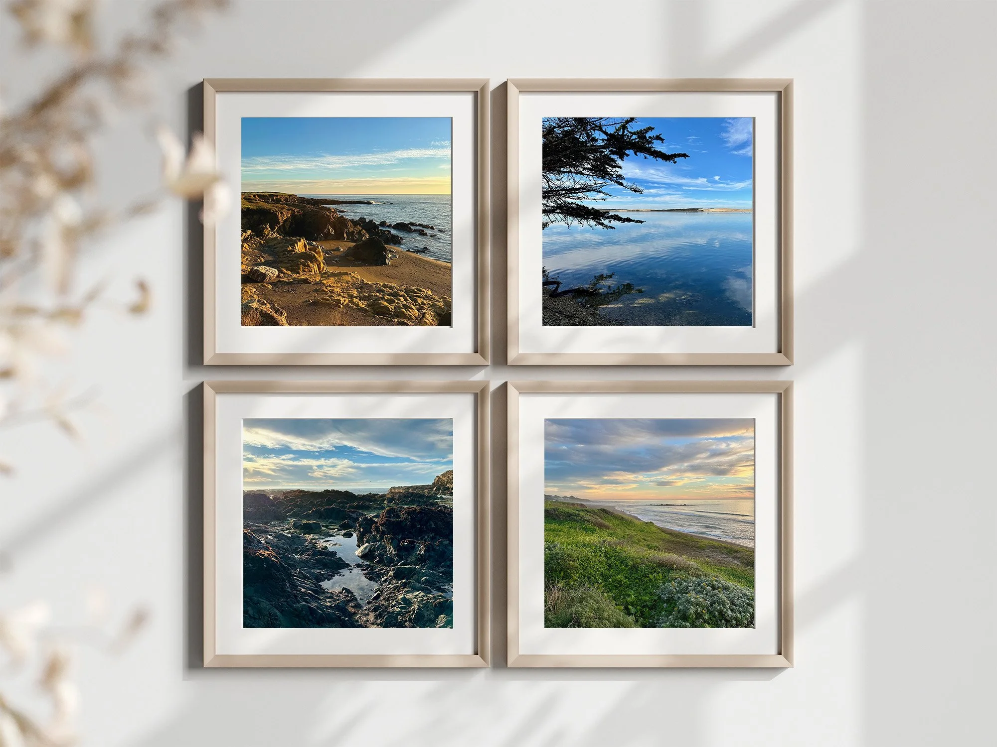 Coastal California | Landscape Photography Collection