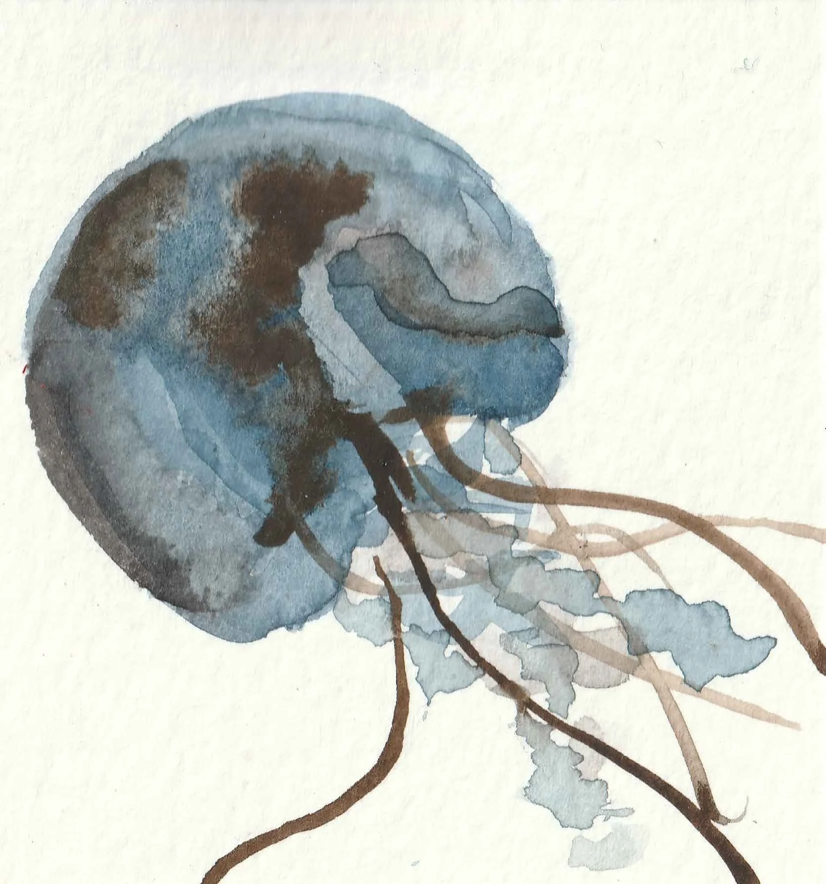 Jelly Fish Mini Print