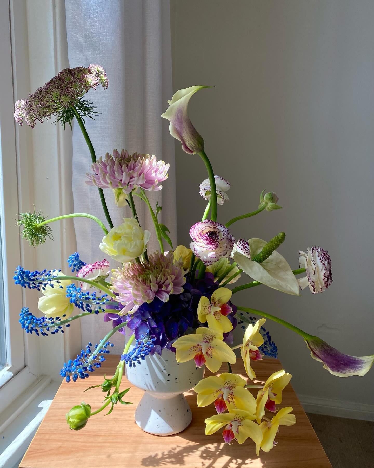 Taurus arrangement 🪻🍋🦄🩰🌀
.
.
.
.
.
#taurusszn #flowerarrangments #sdflorist #orchidarrangements #sandiegoflorist #mothersdayflower #orderflowers #queenofvase