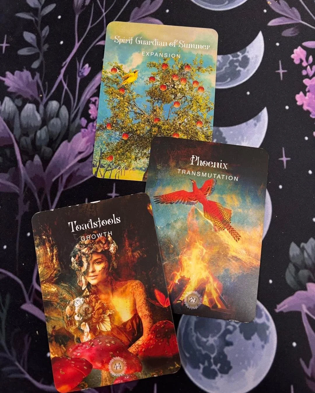 🍄 Powerful message, in case you needed a little dose of something positive today. 

🐦&zwj;🔥 You are the phoenix rising. That ditch is now behind you. Your hard work and self love has laid solid foundations to build on. You&rsquo;re vibing with pos