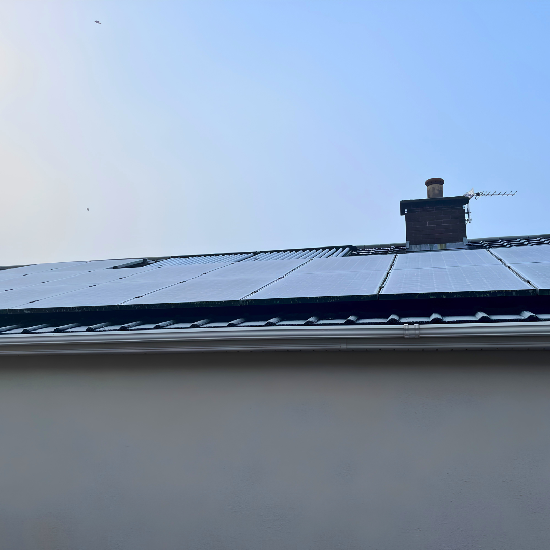 Renewable Experts Since 2011. (3).png