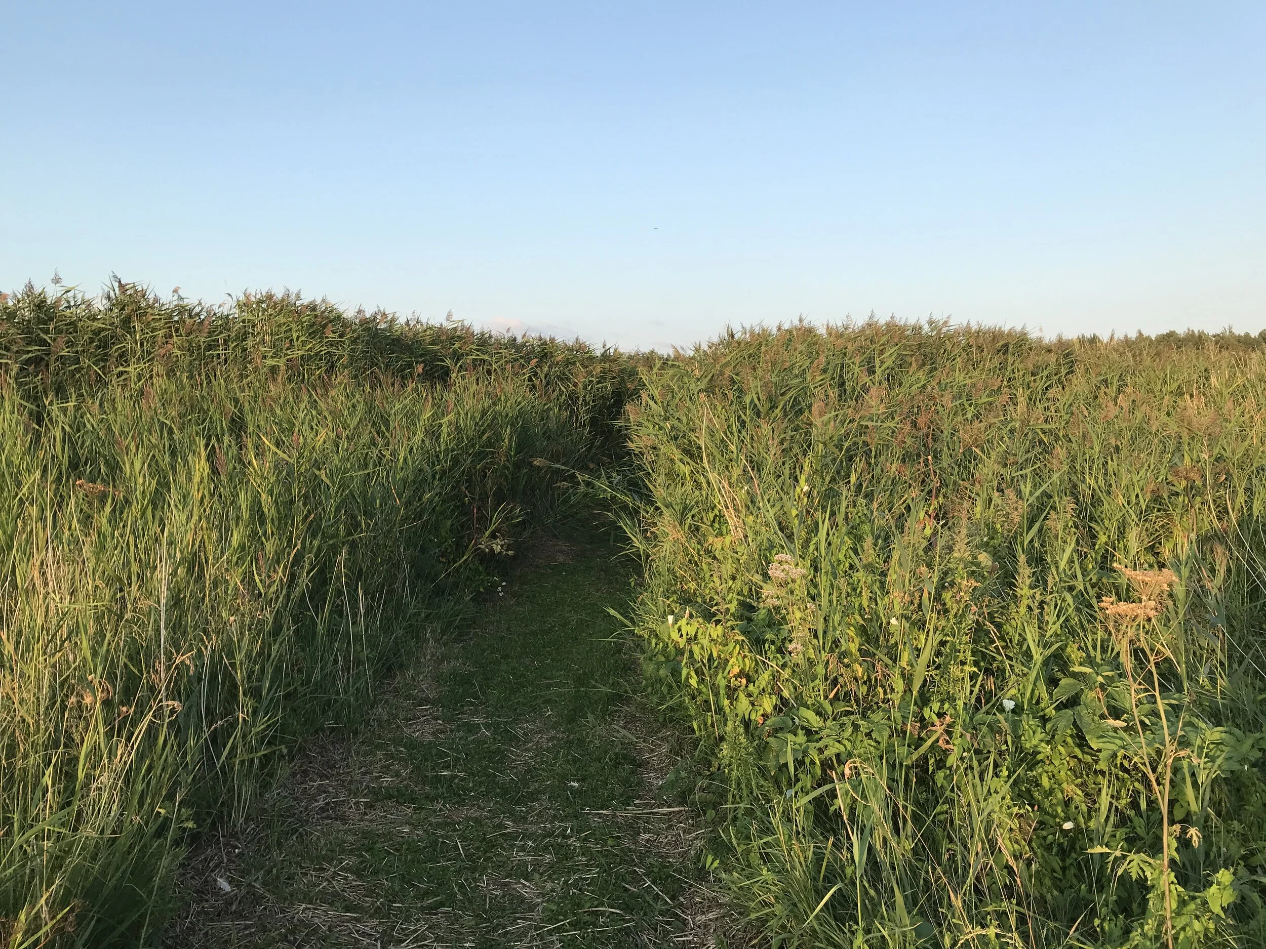 journey to the sandy island is long but worth it...