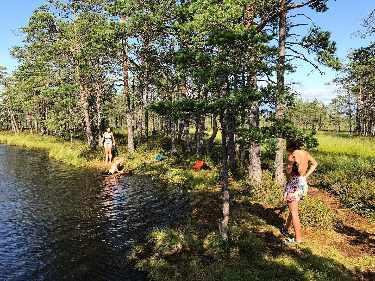 Võimalus proovida laukas ujumist Tolkuse rabas