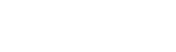 SYA_Wide_Logo_WHITE.png