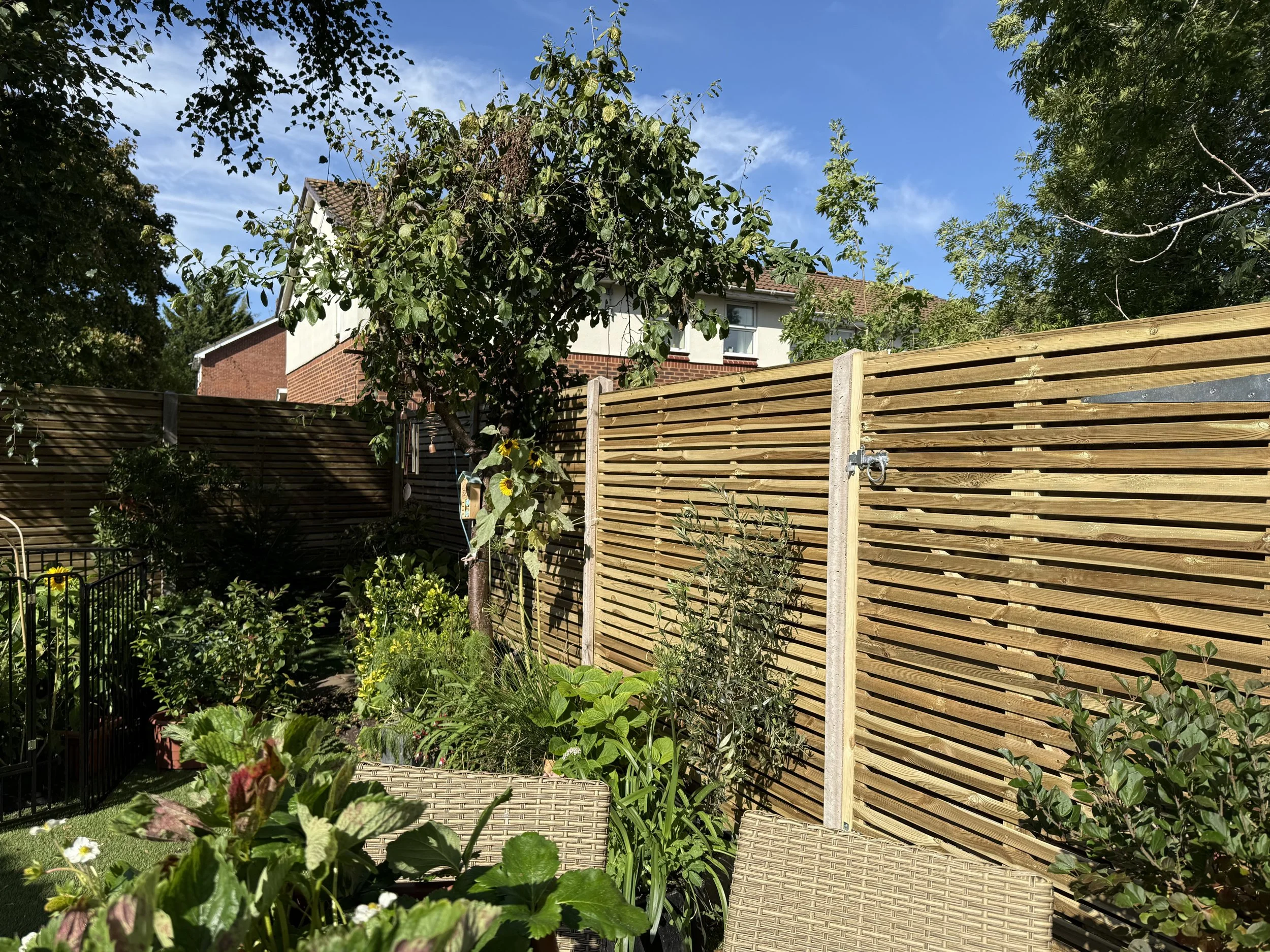 A backyard garden with various plants and a wooden privacy fence under a clear blue sky.