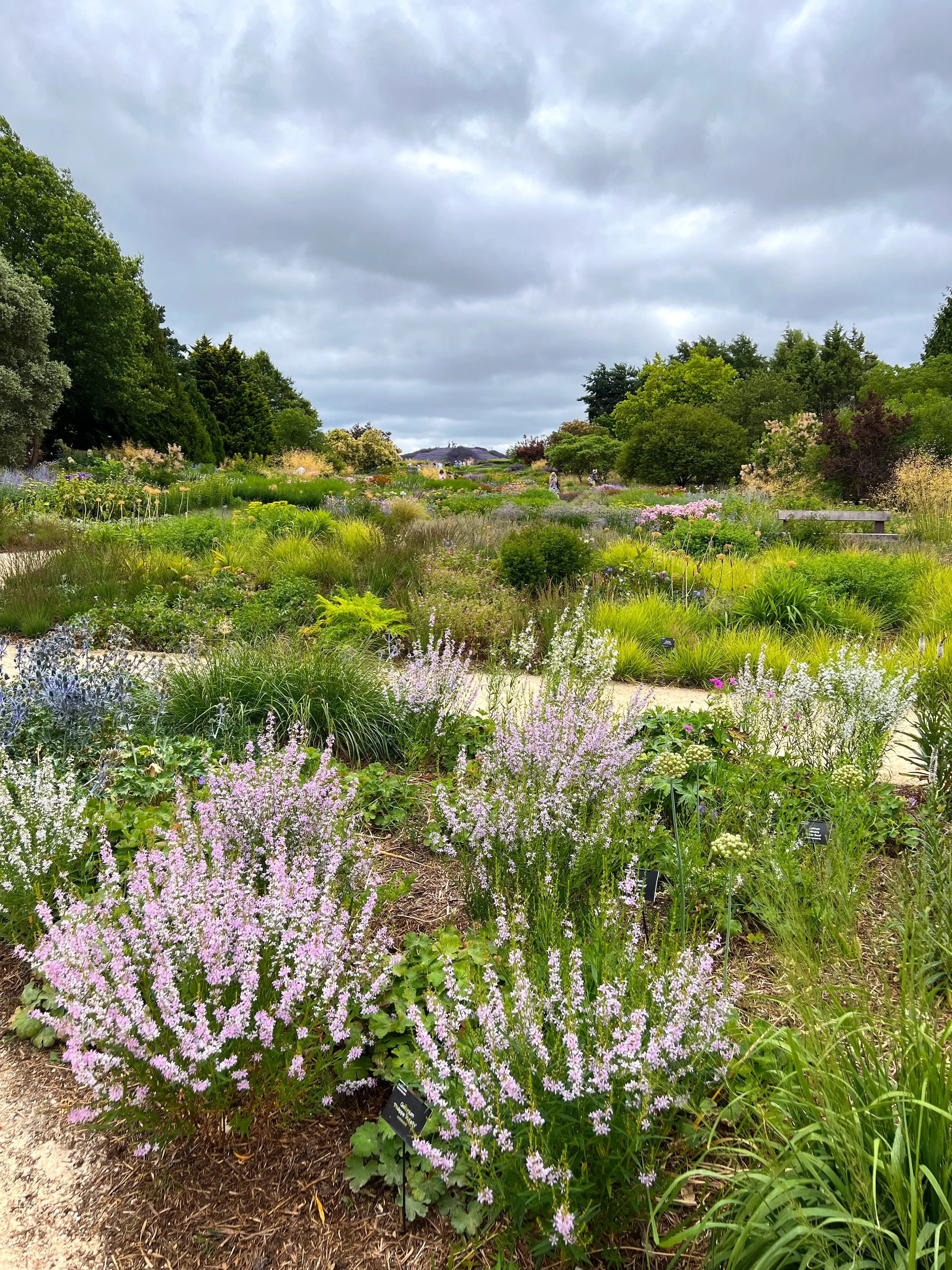 Wisley July 2026.jpg