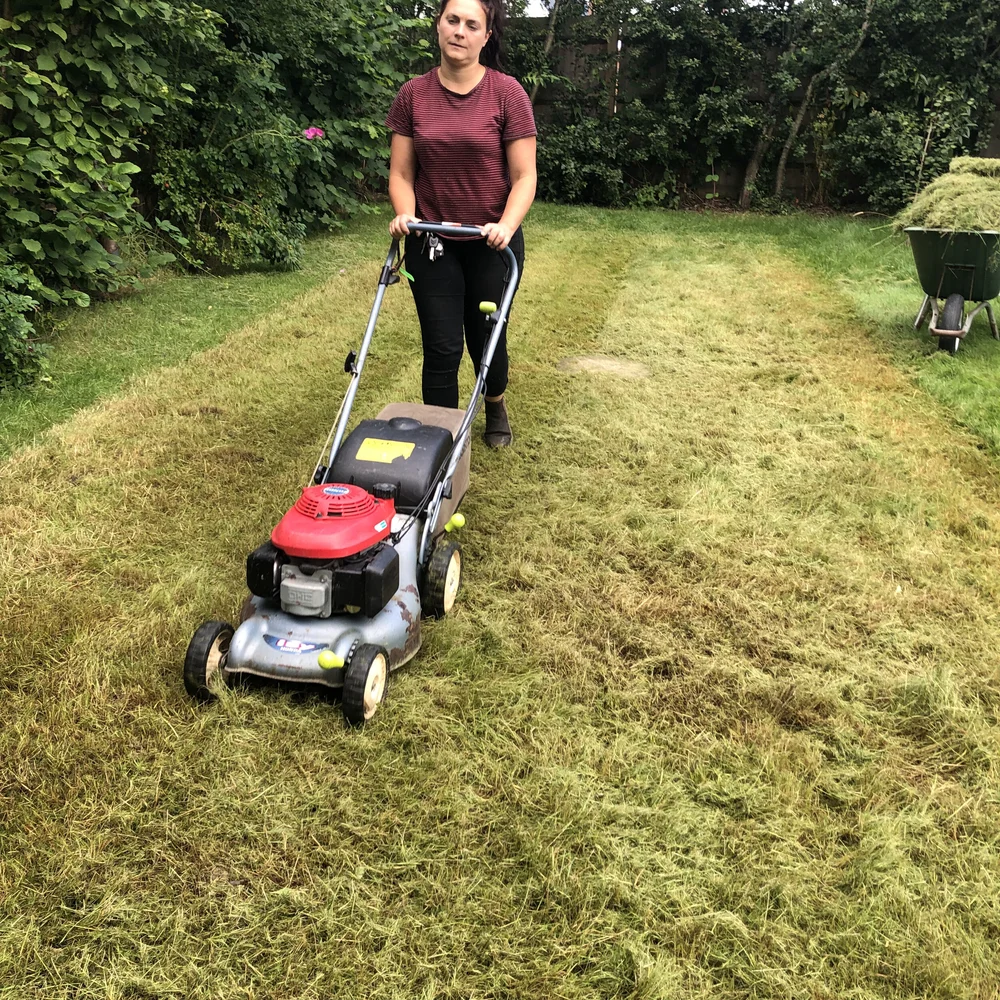 Mow off the rough grass