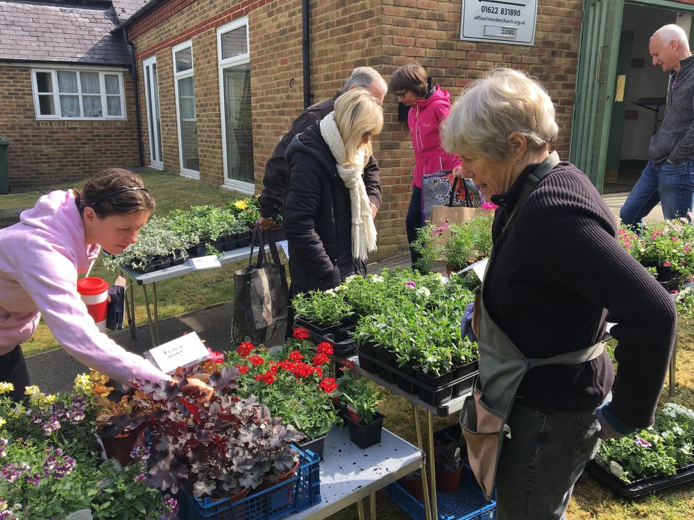 Plant Sale 11th May 2019