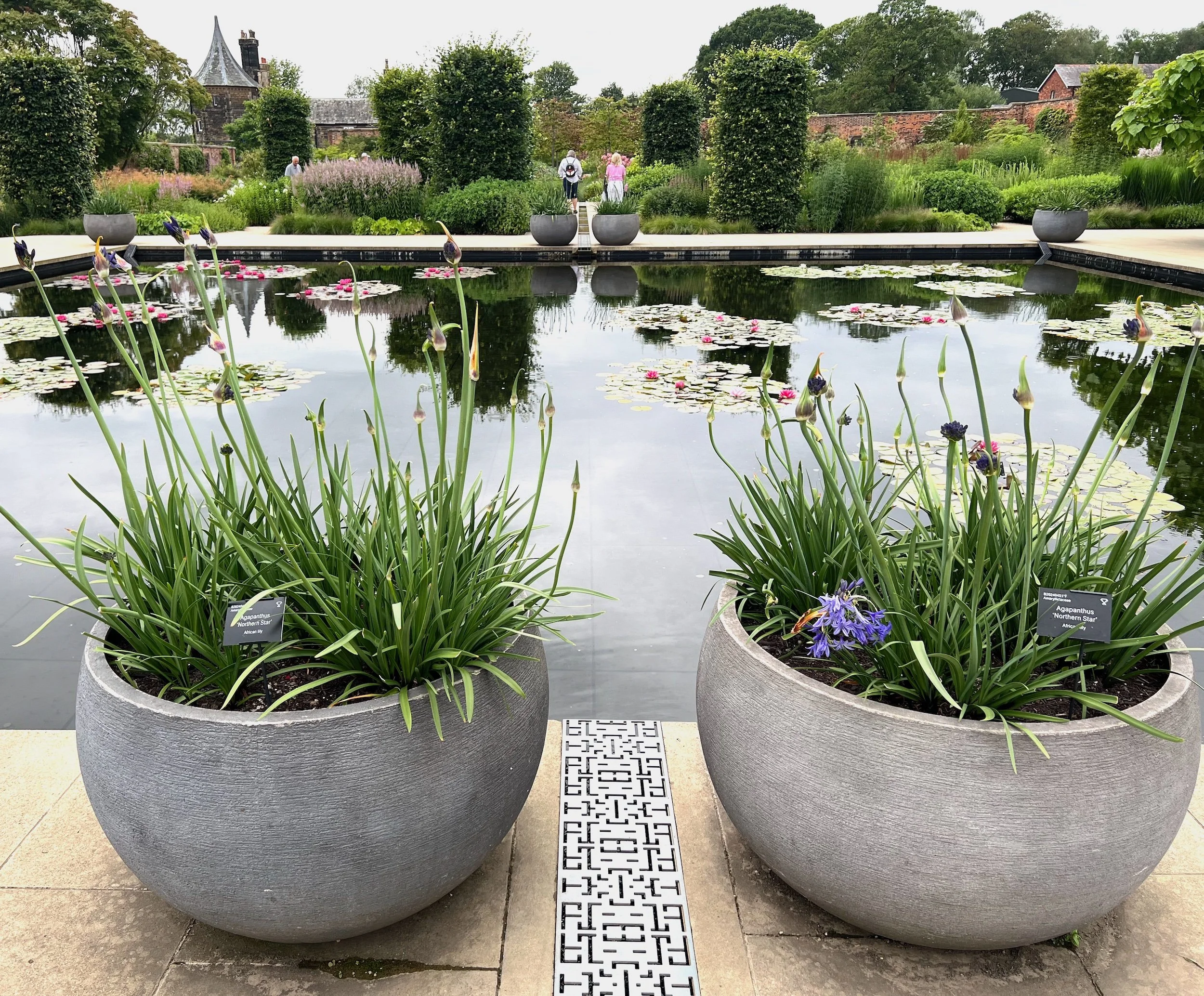 A visit to RHS Bridgewater