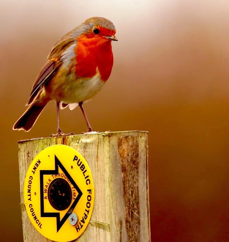 Which way is Christmas?