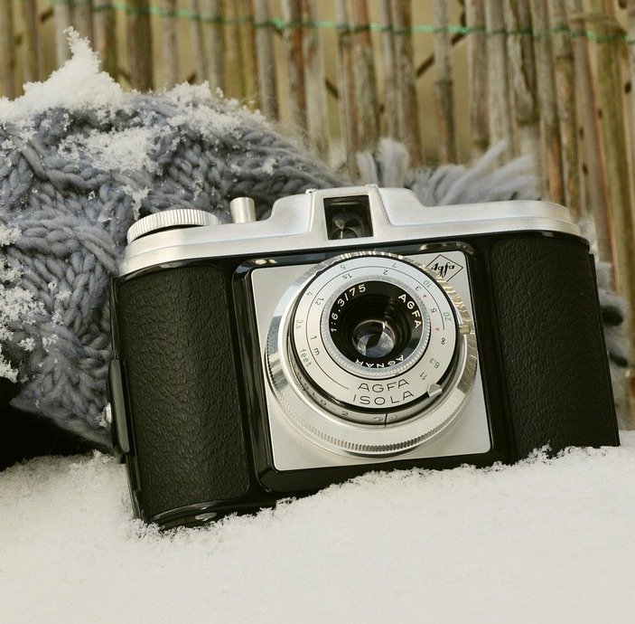 Winter 2025/26 in my garden 