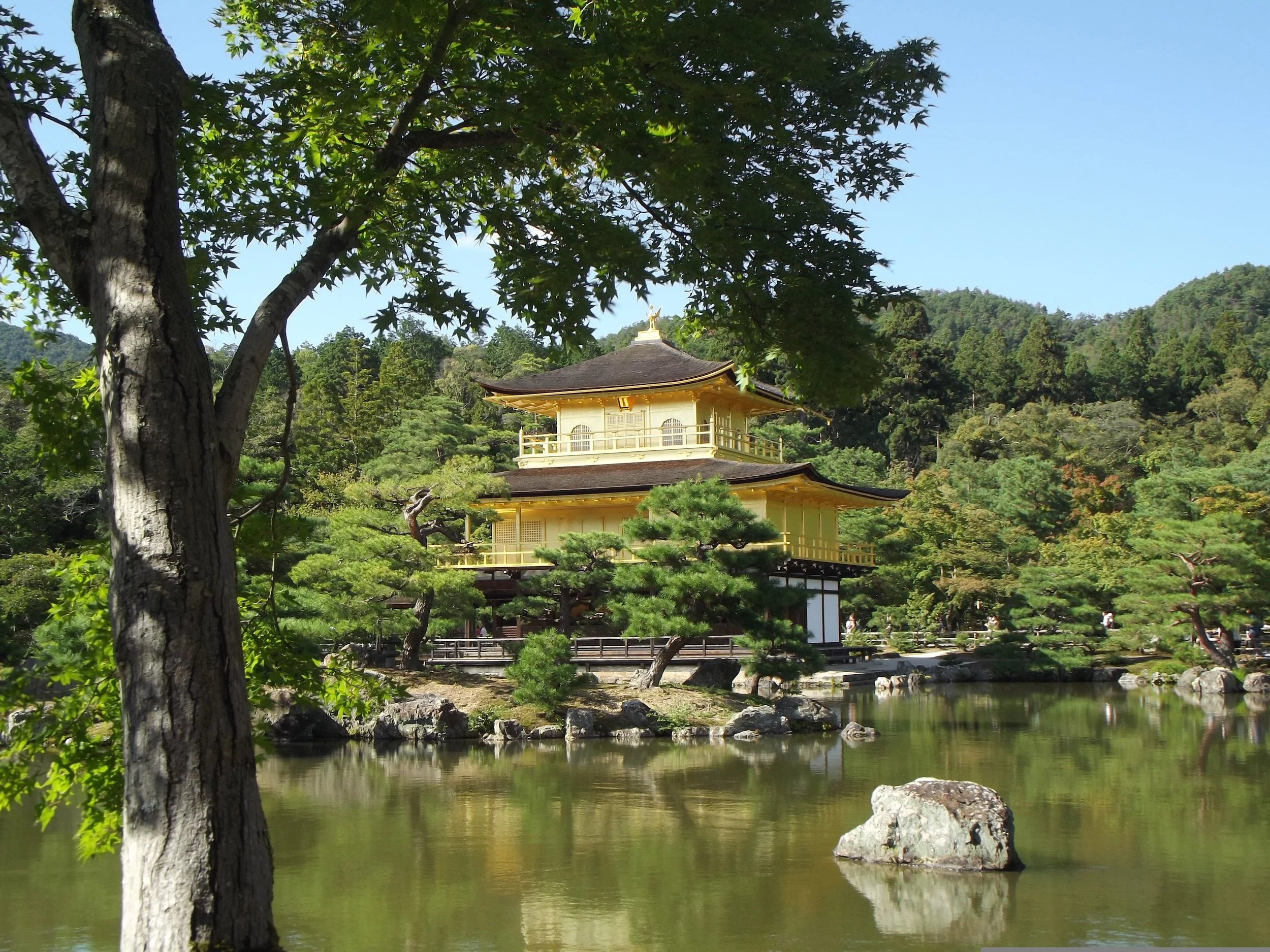 Globe-trotting Gardens