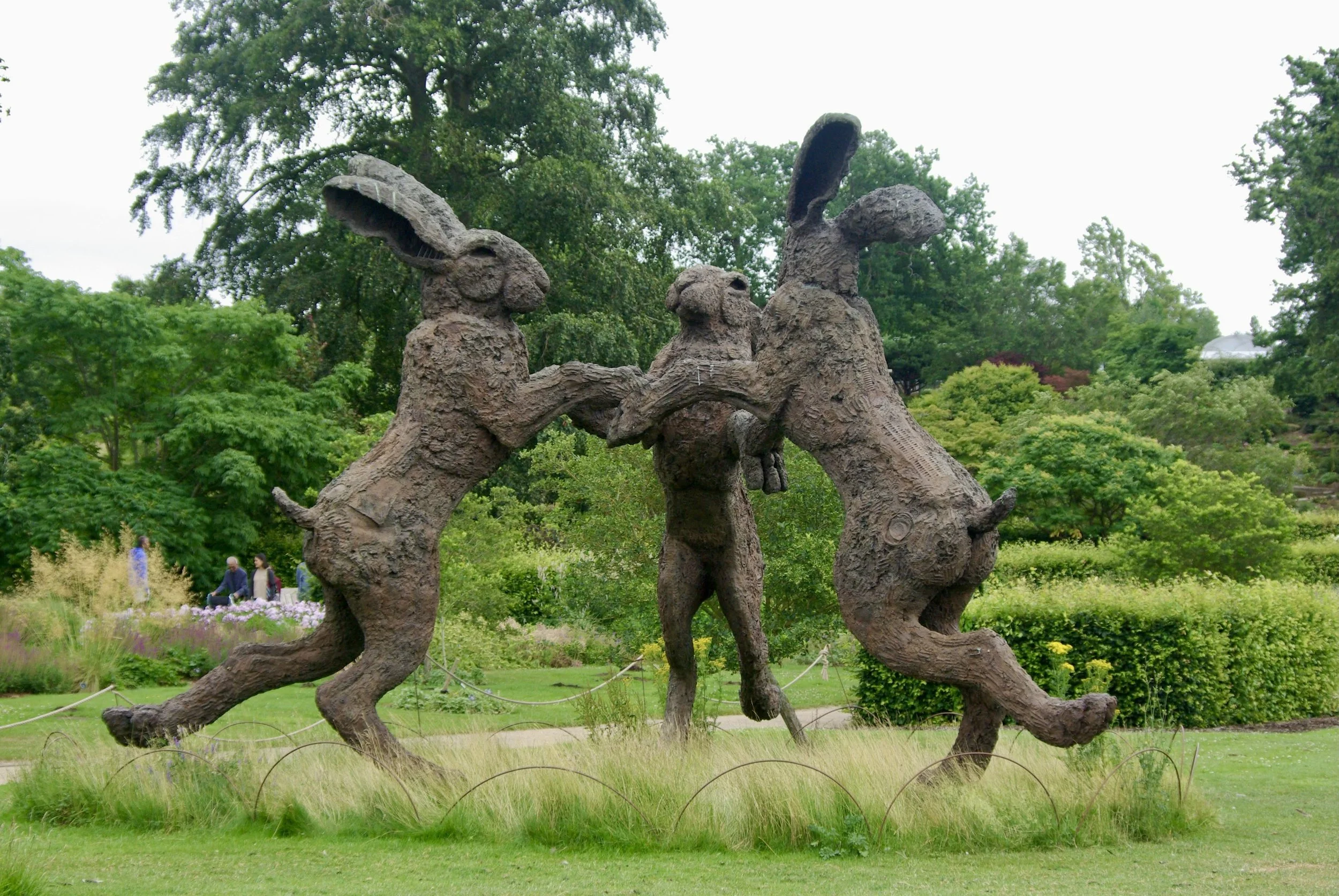 Wisley trip 2026 Hares.jpeg