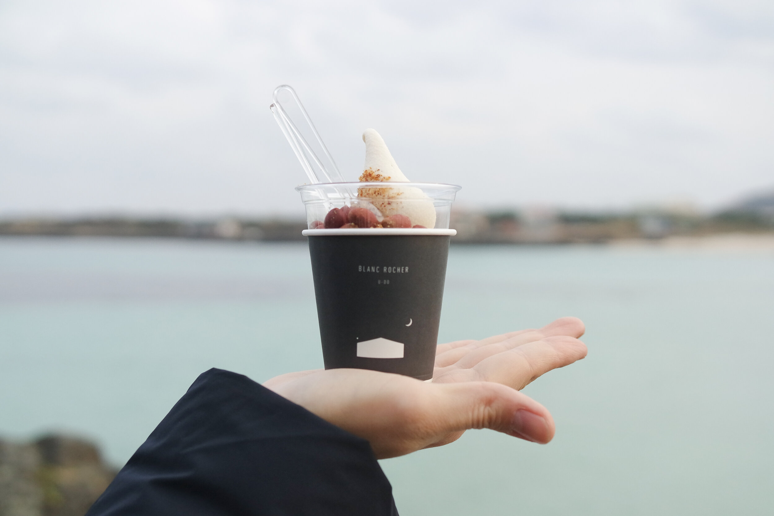 Blanc Rocher - Application