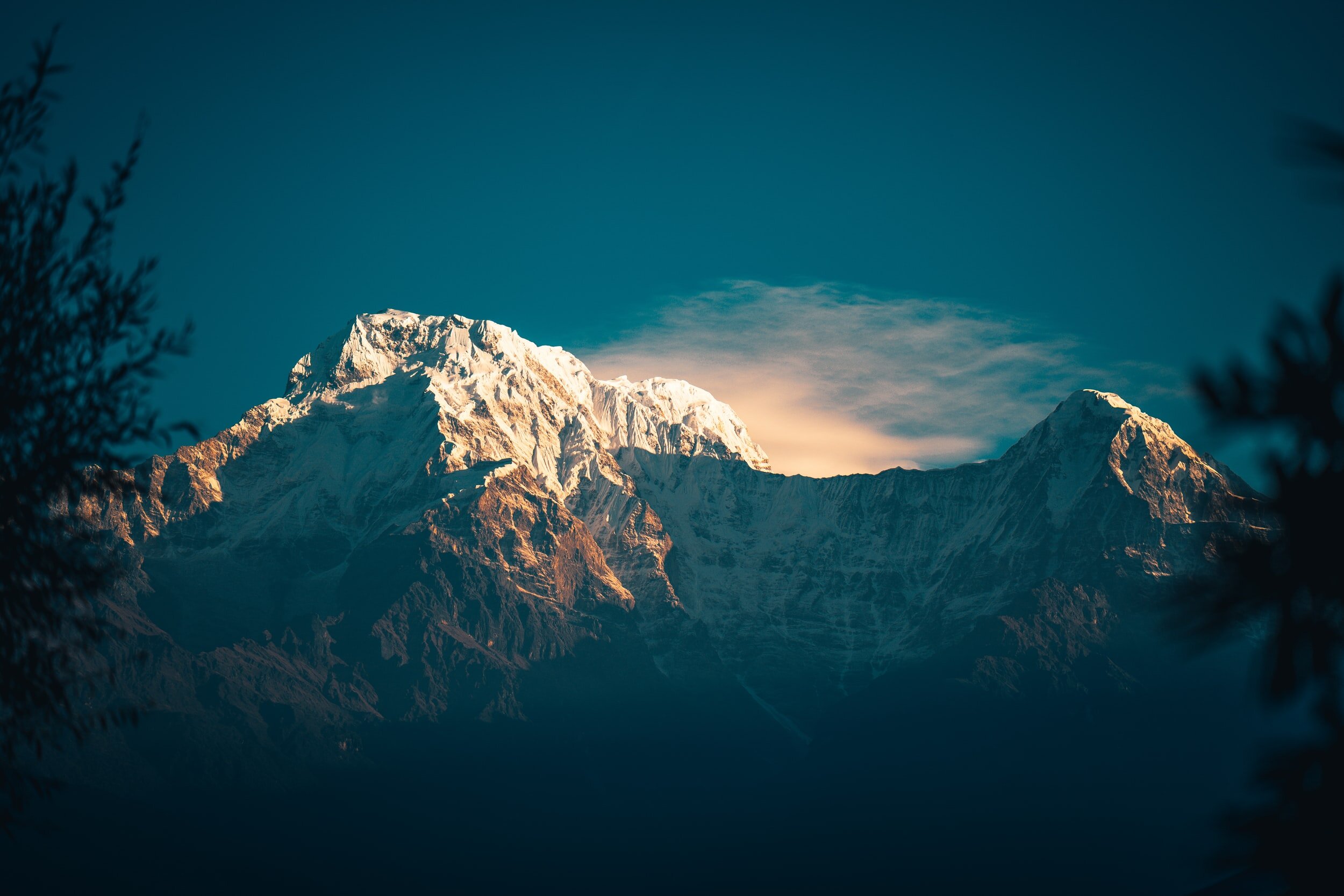 Why content is still king