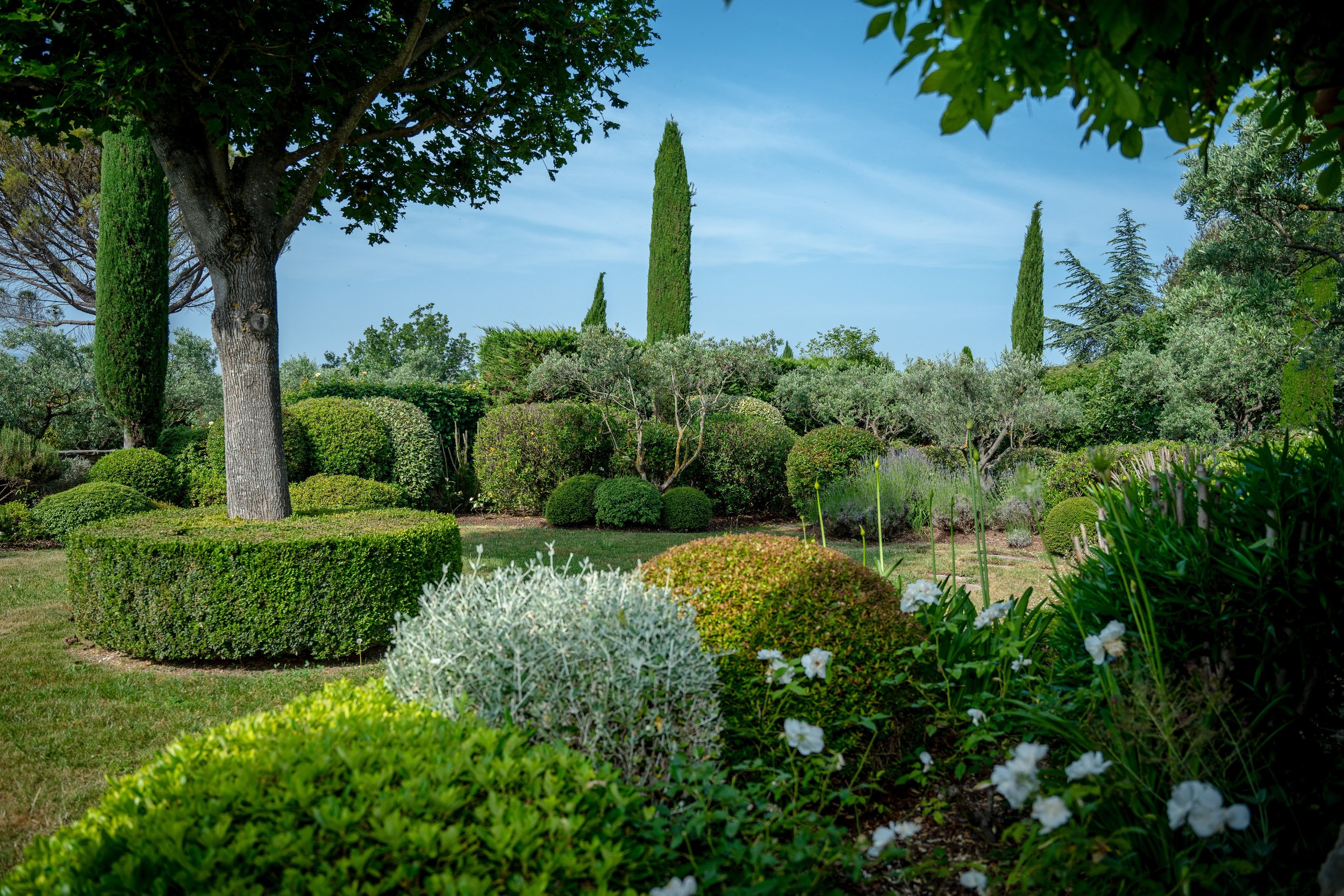Entretien d'un jardin : taille et désherbage manuel